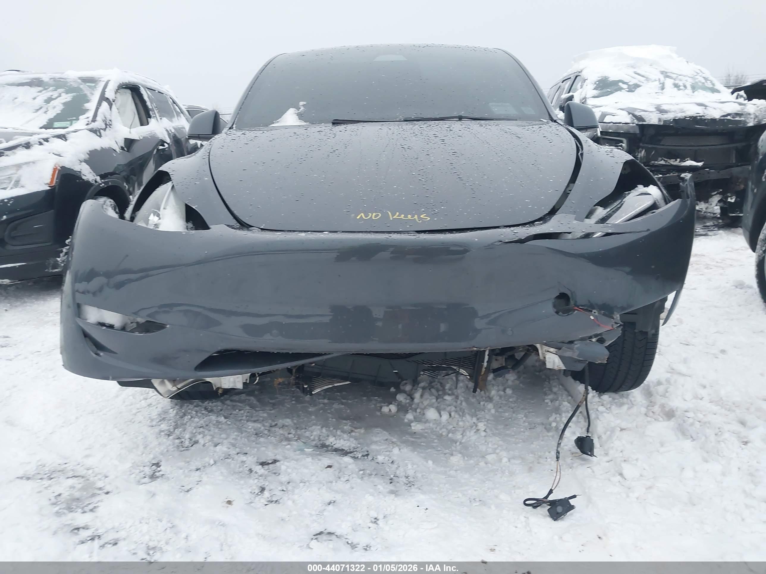 TESLA MODEL image 6