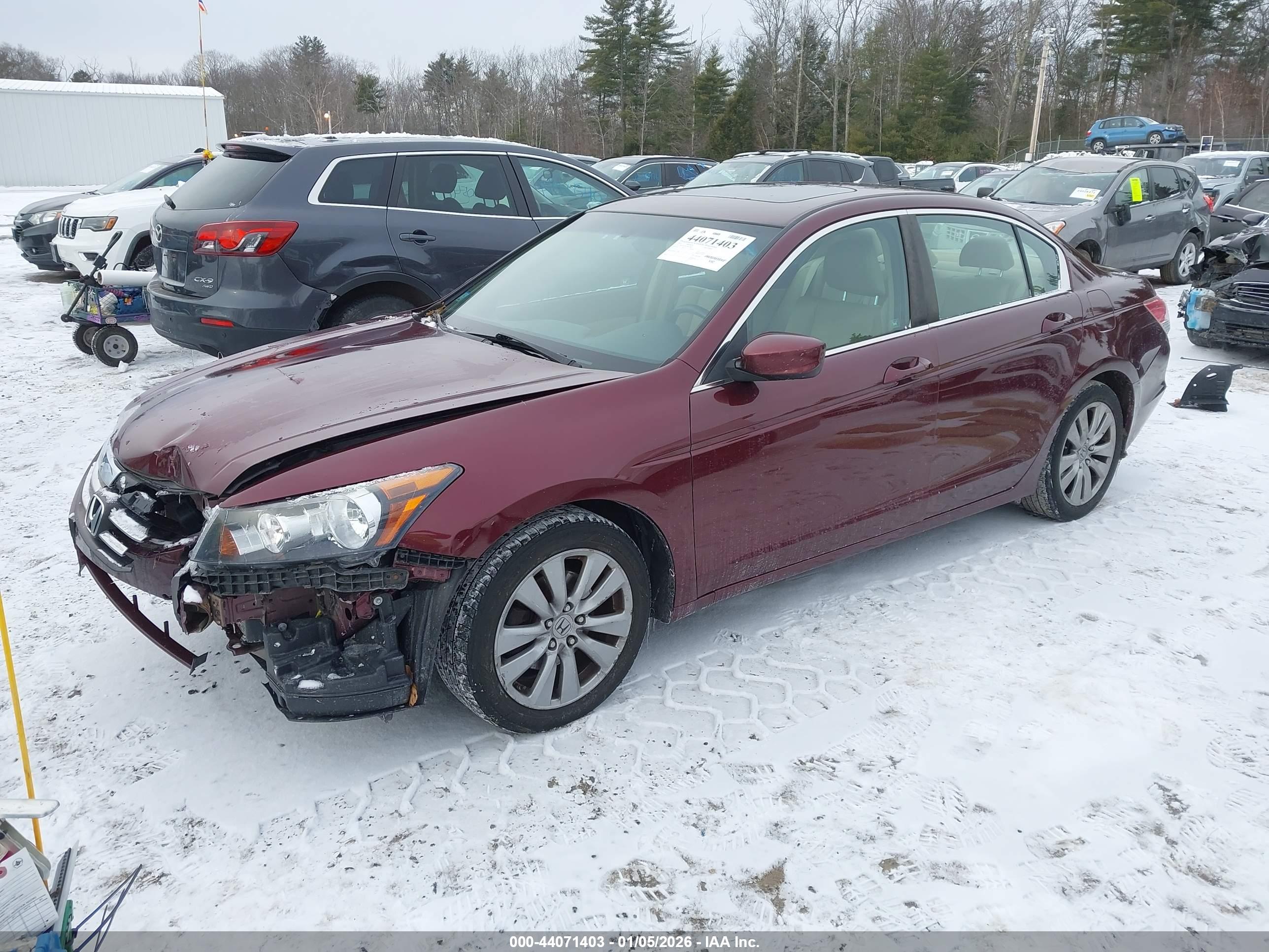 HONDA ACCORD image 2