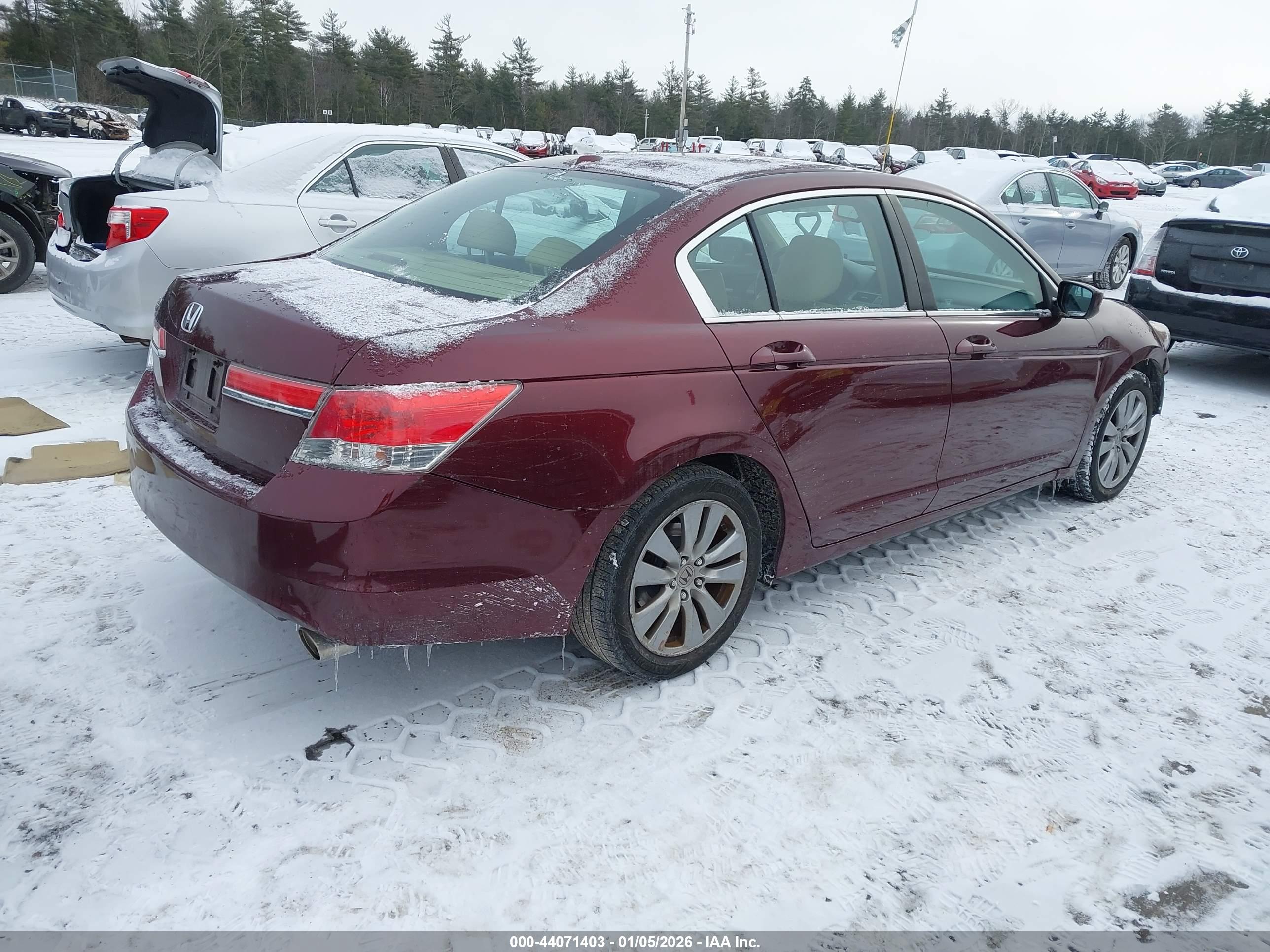 HONDA ACCORD image 4