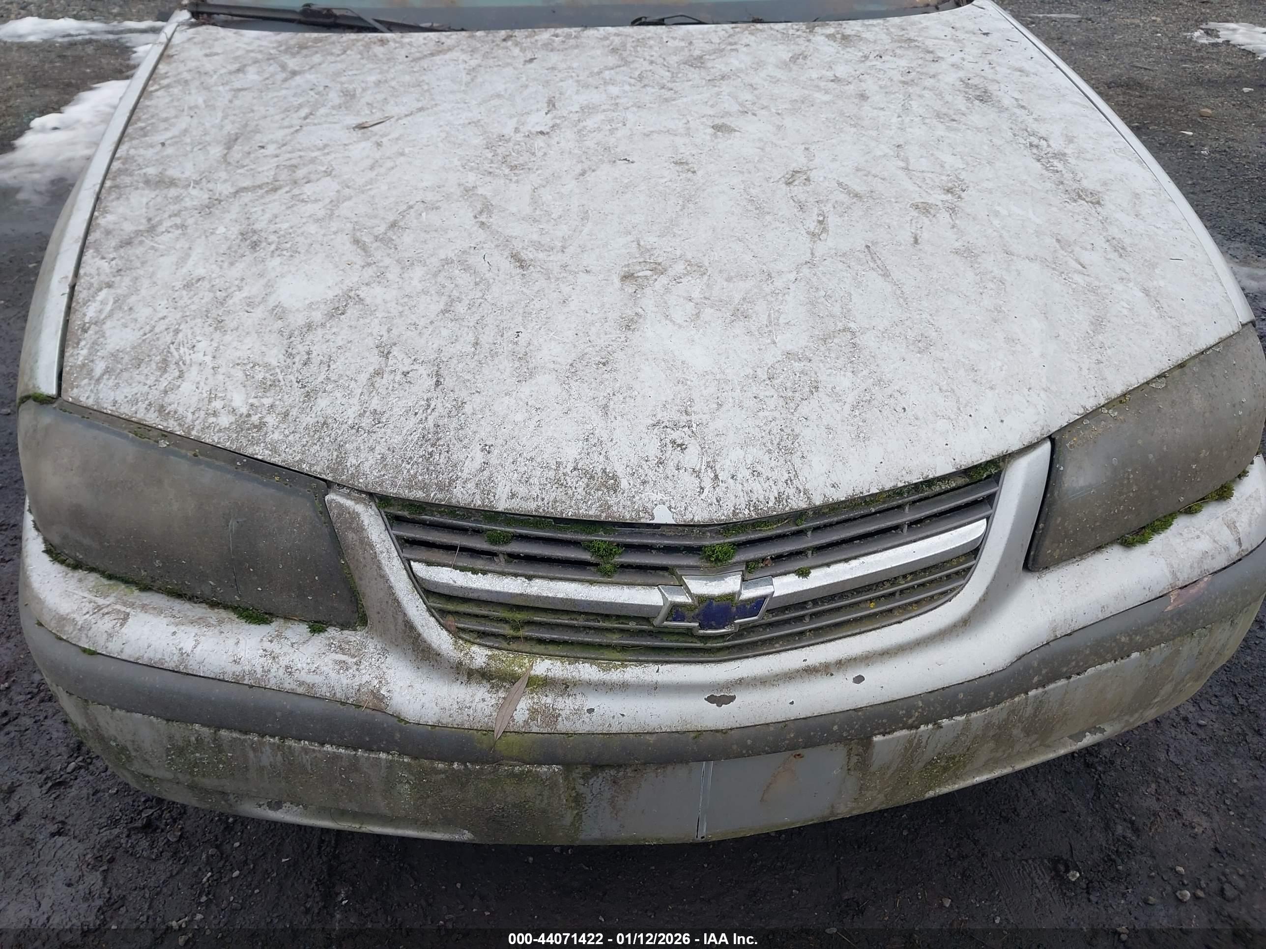 CHEVROLET IMPALA image 6