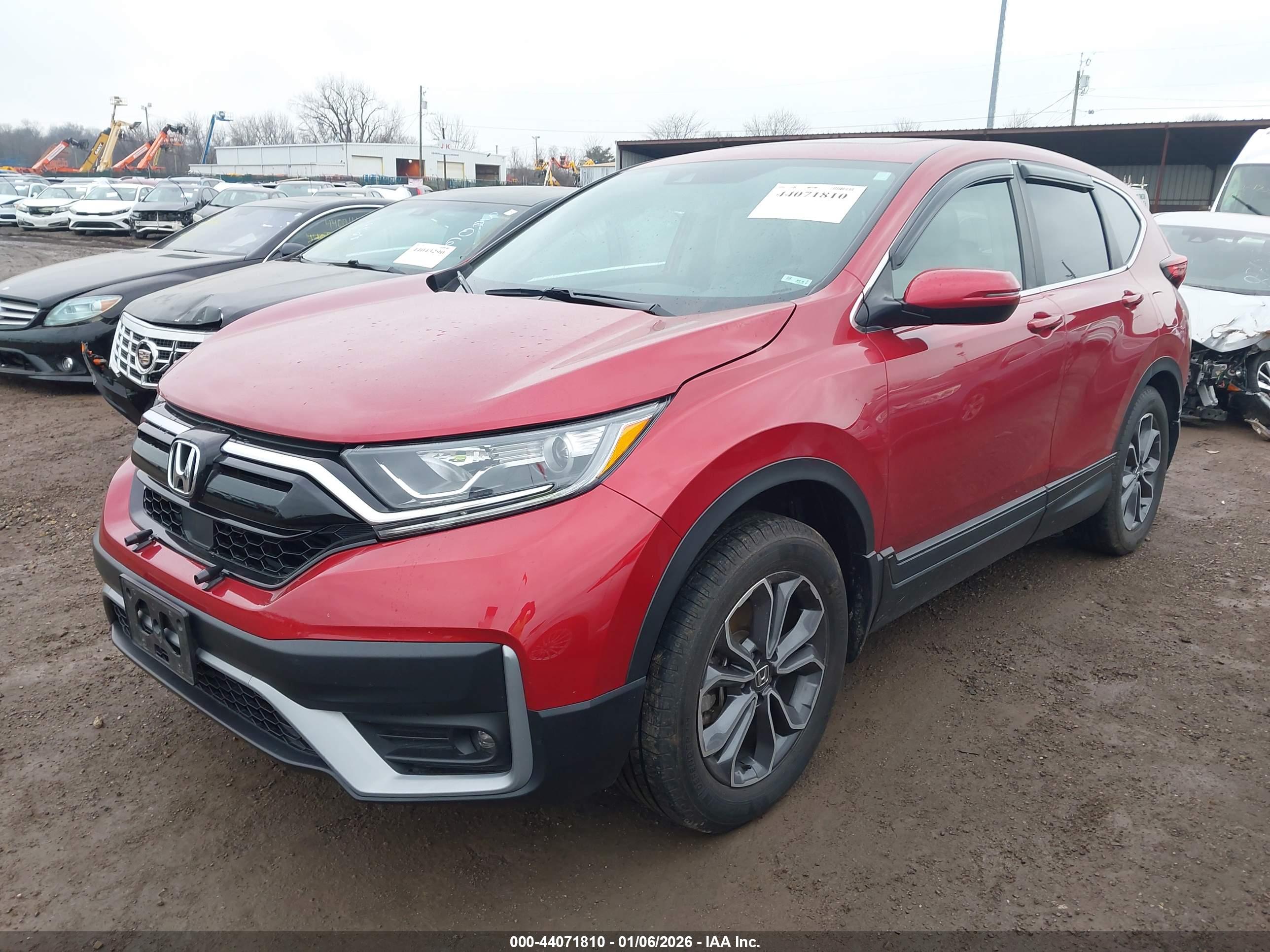 HONDA CR-V image 2