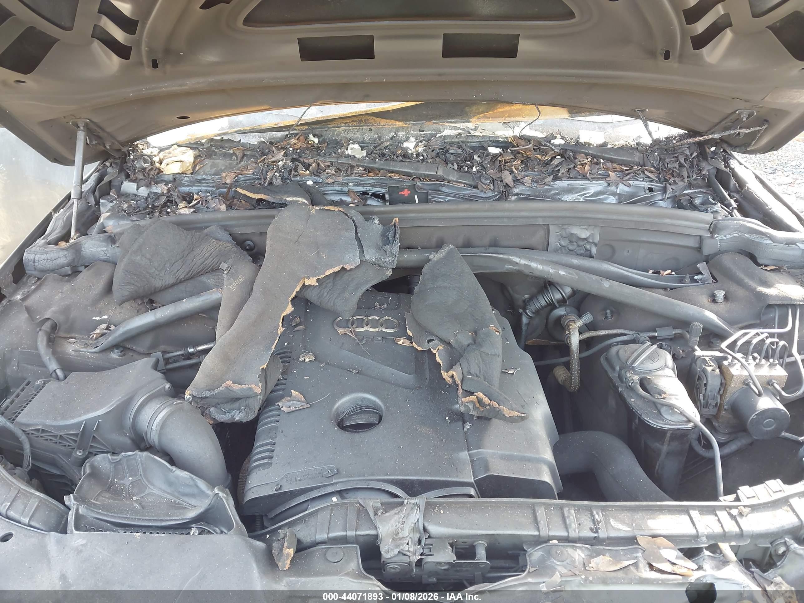 AUDI Q5 image 10