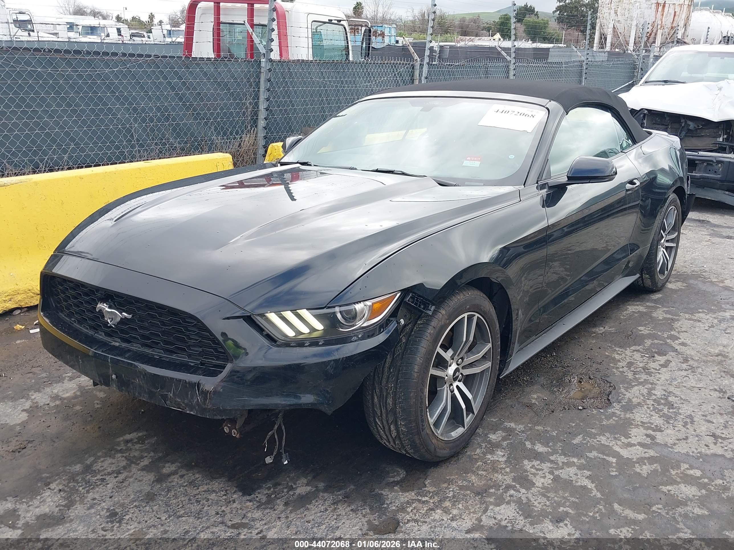 FORD MUSTANG image 2