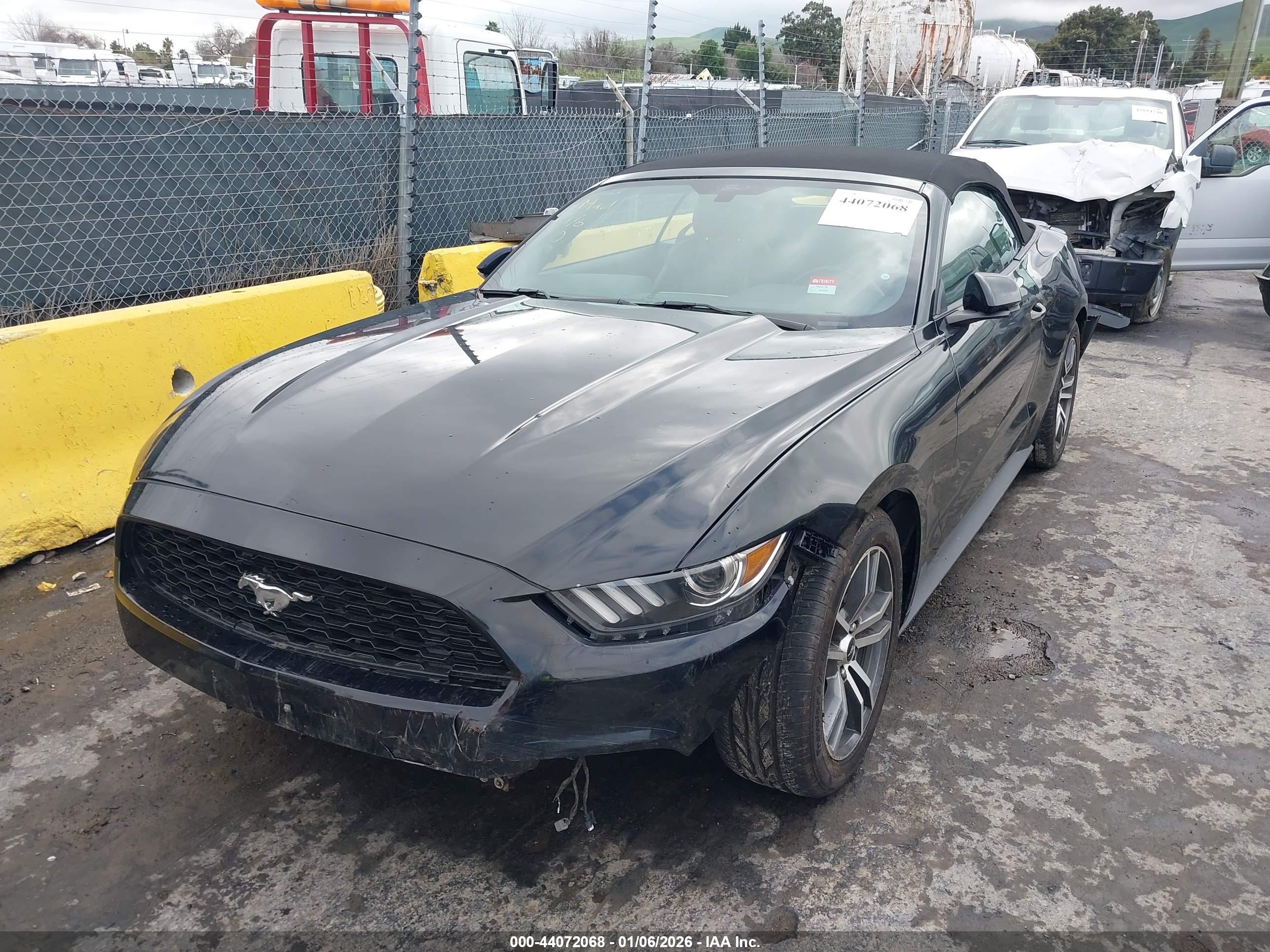 FORD MUSTANG image 6