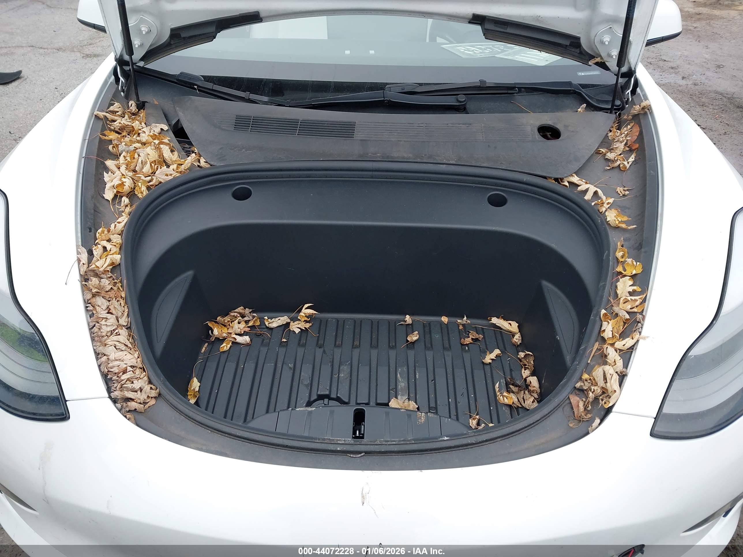 TESLA MODEL image 10