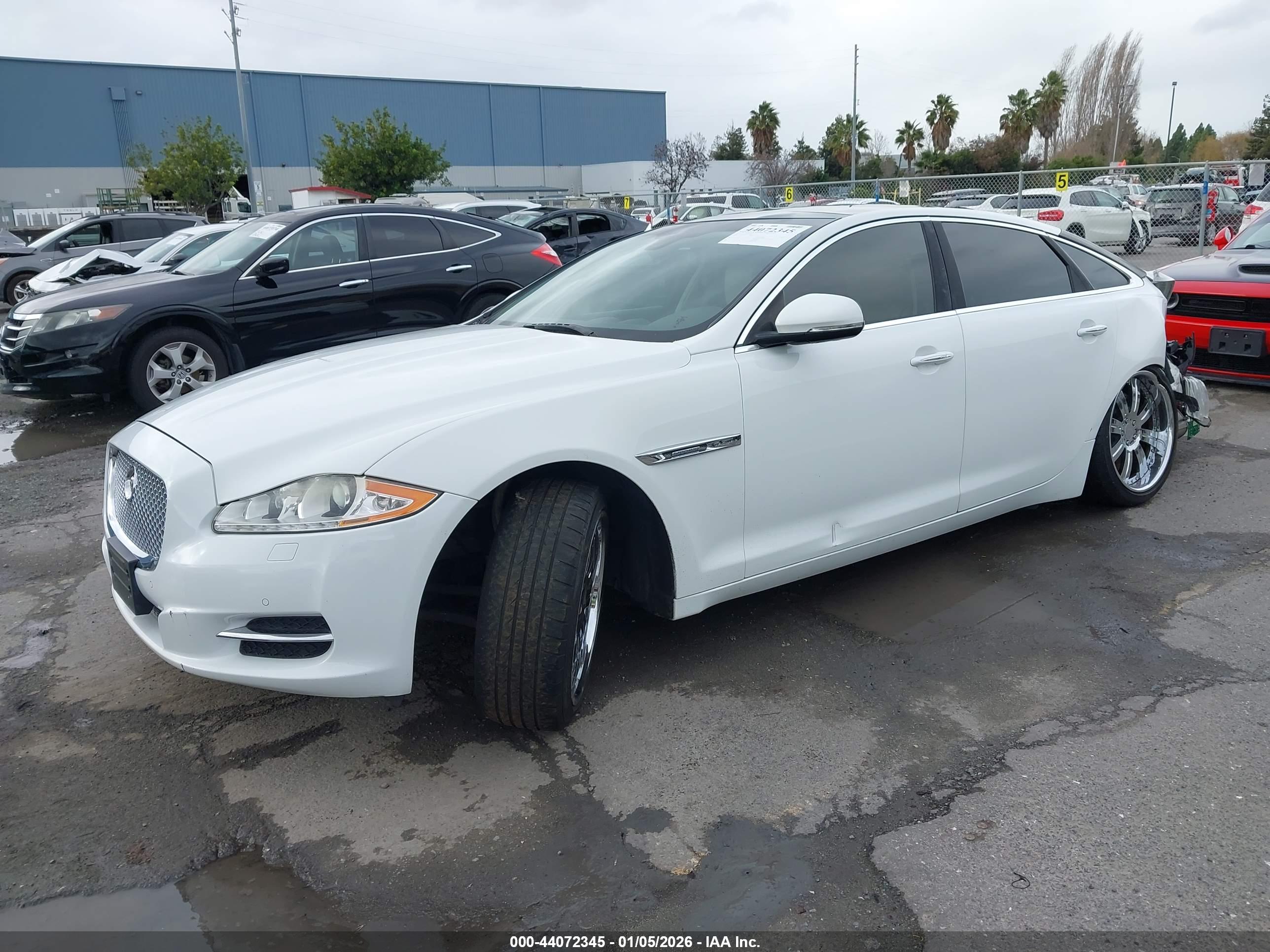 JAGUAR XJ image 2