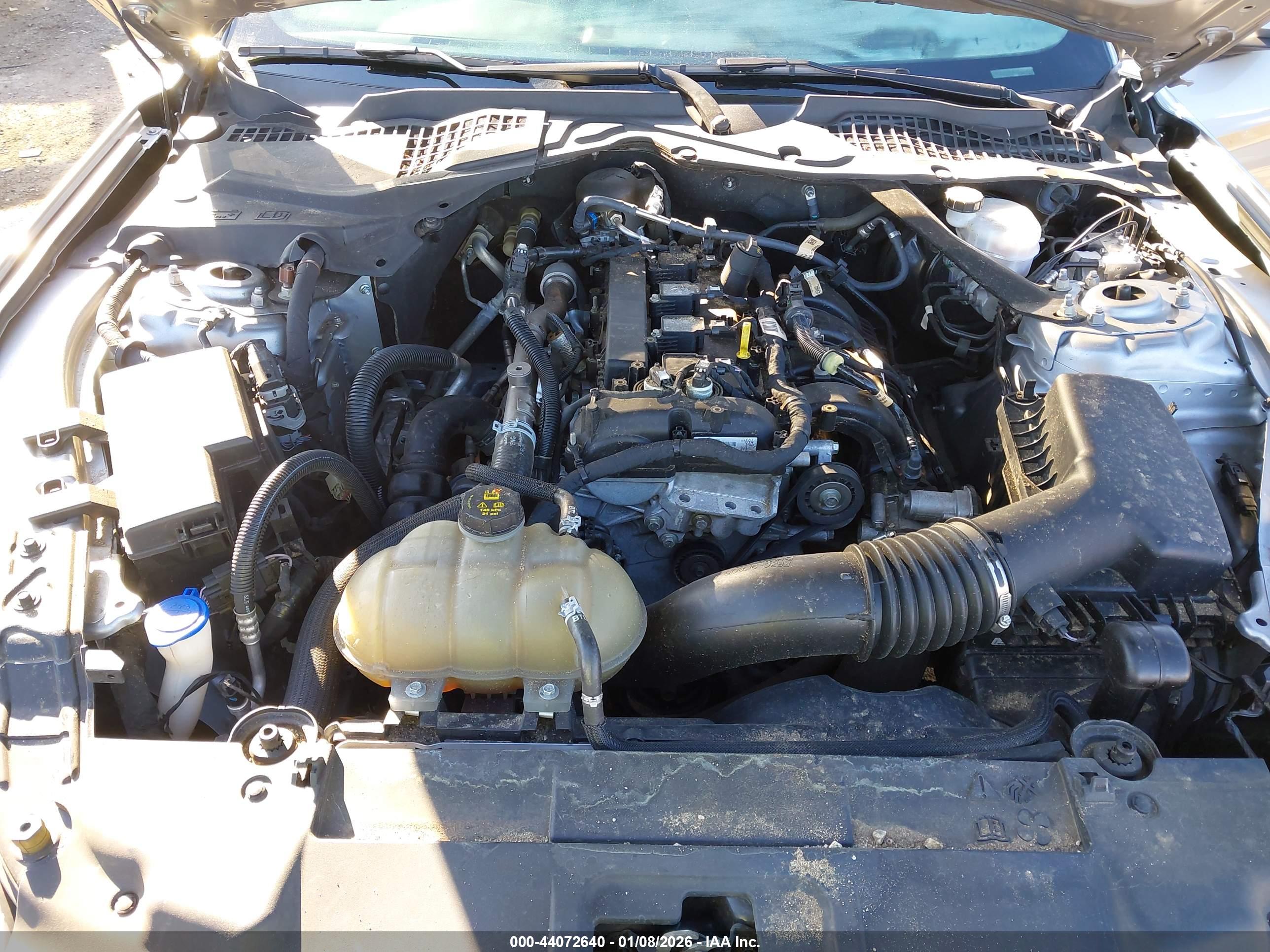 FORD MUSTANG image 10