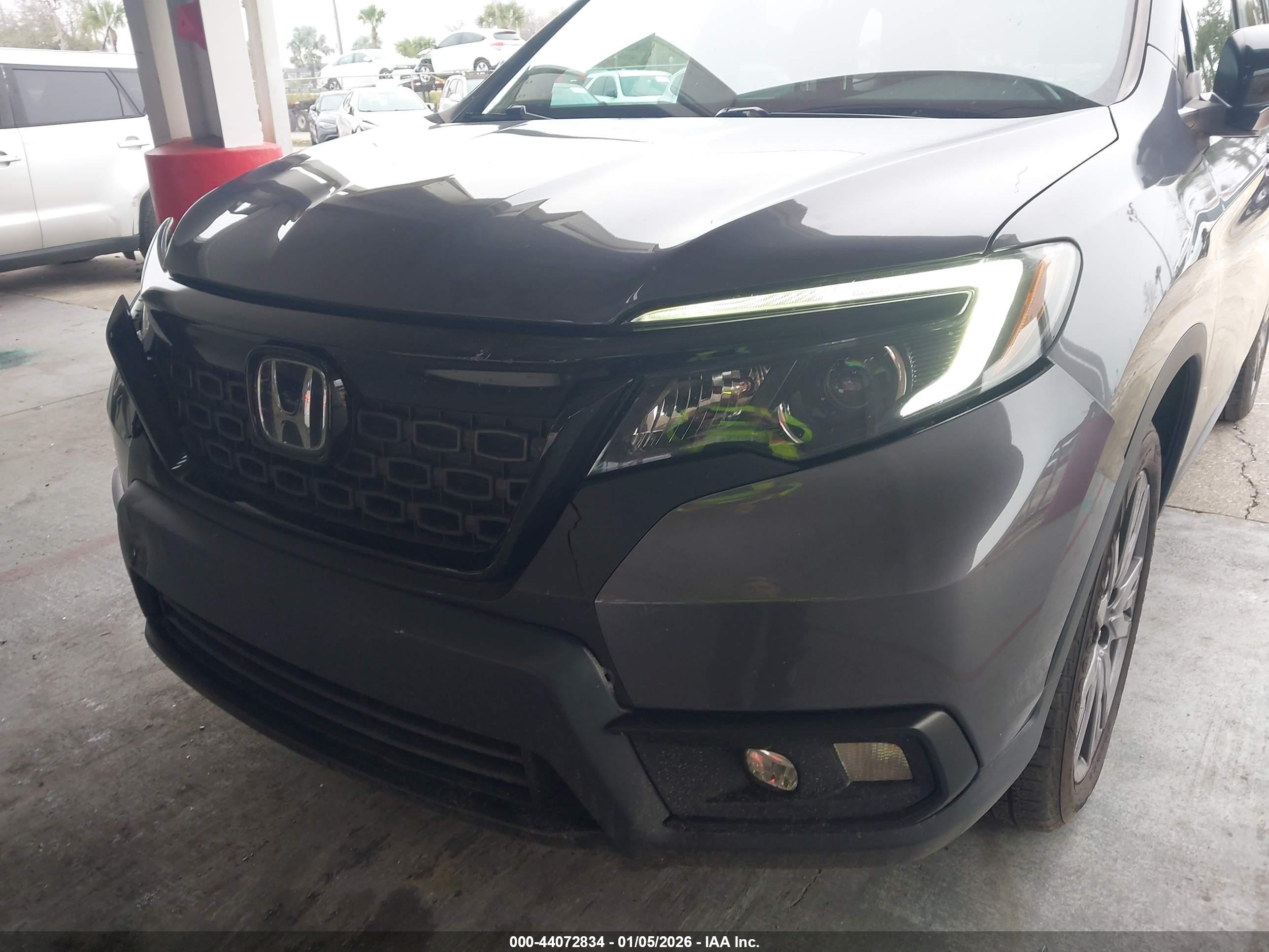 HONDA PASSPORT image 6