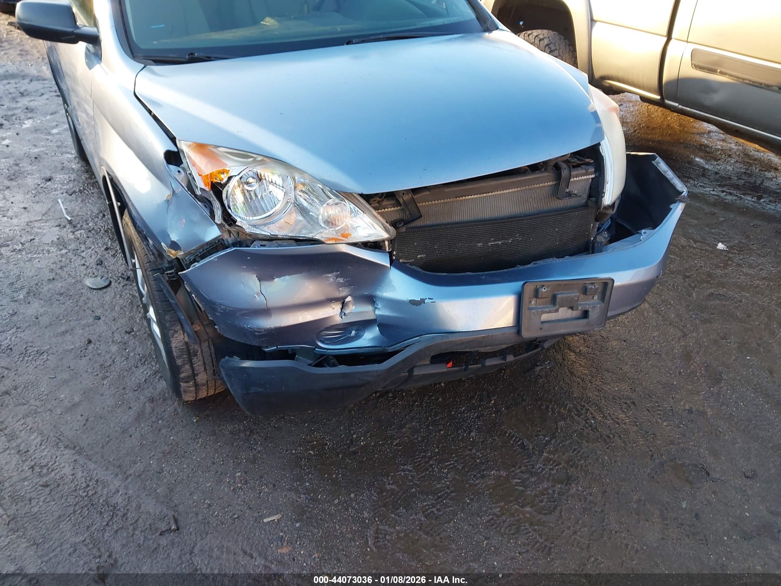 HONDA CR-V image 6