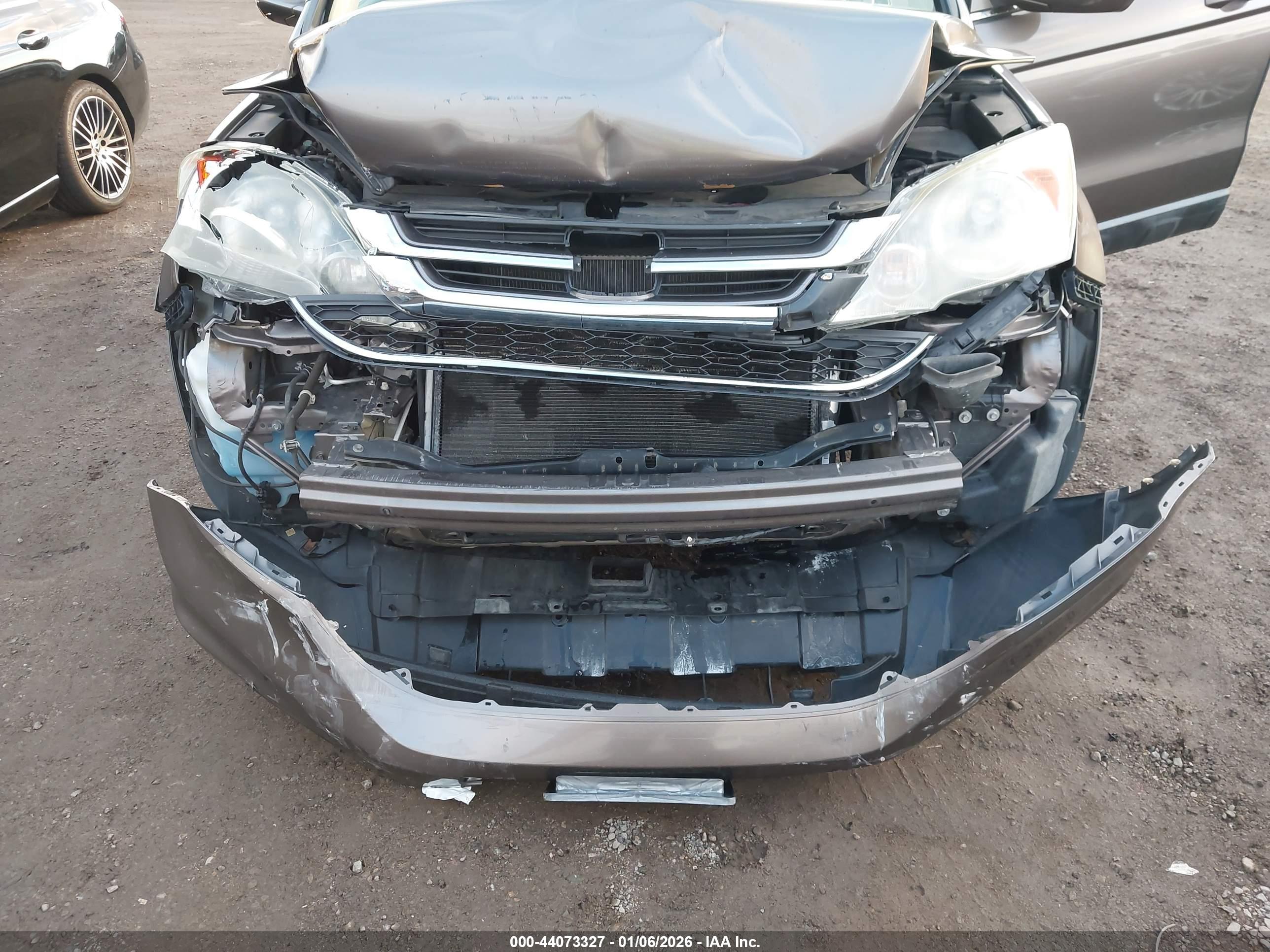HONDA CR-V image 6