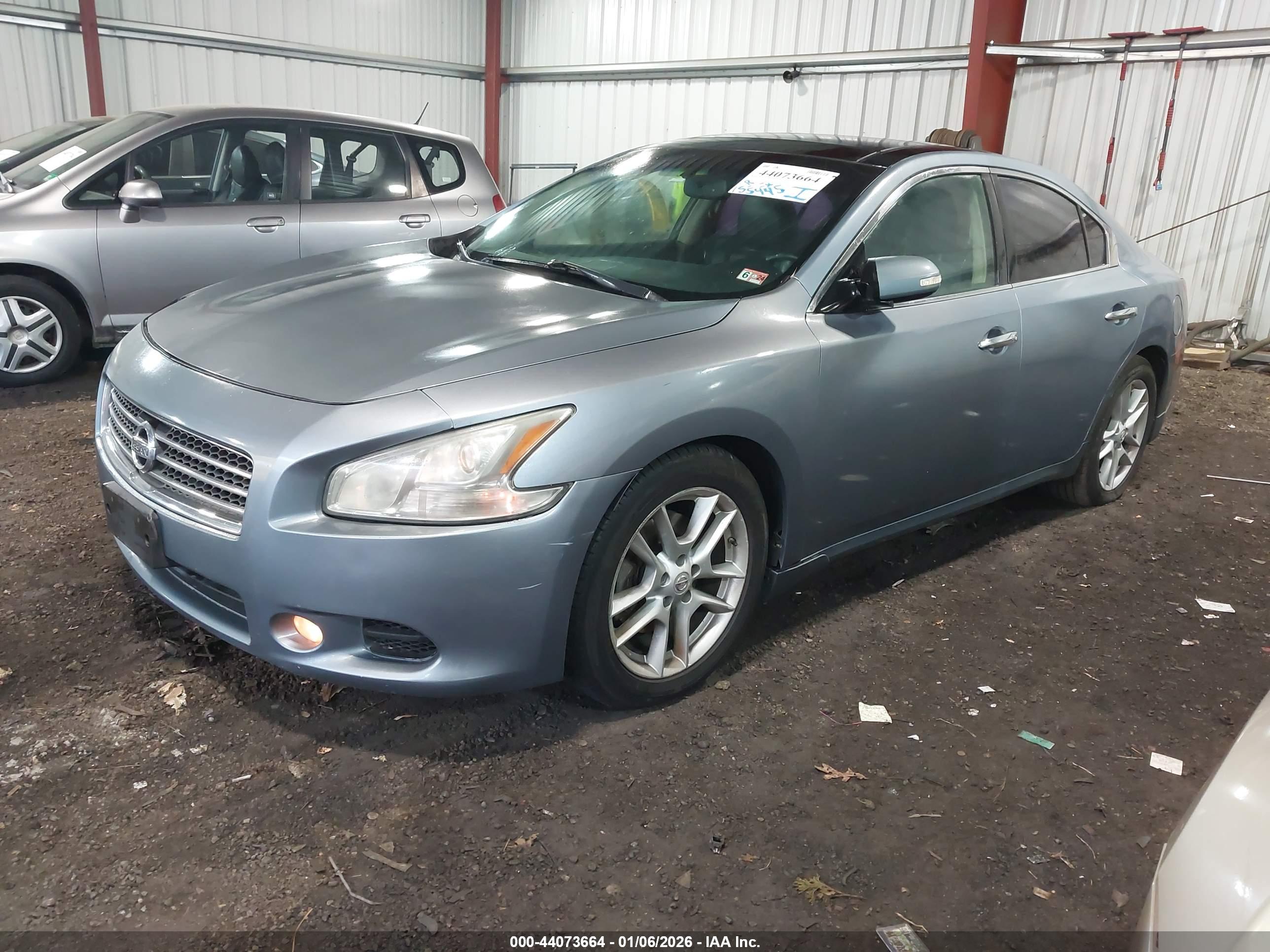NISSAN MAXIMA image 2