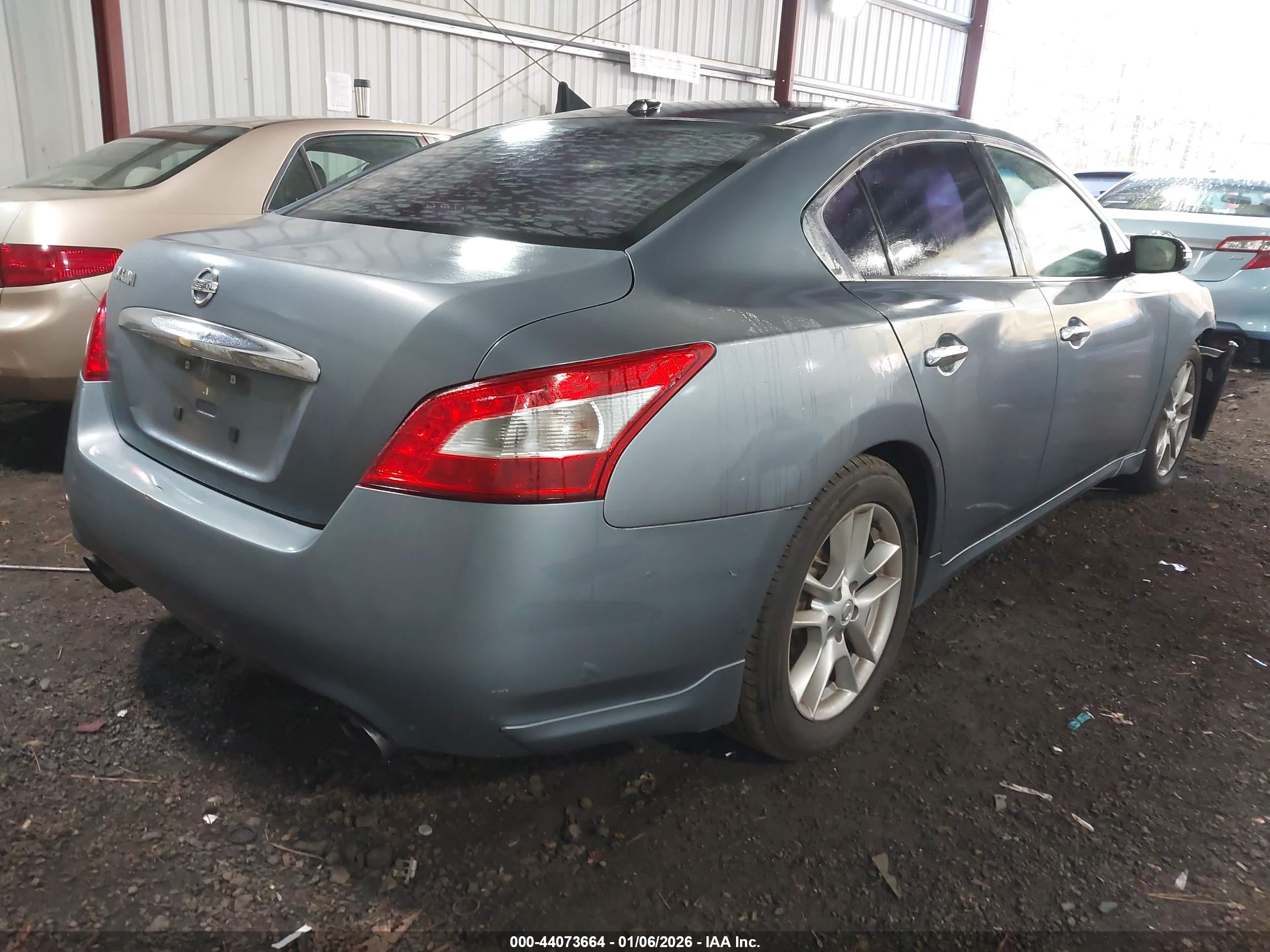 NISSAN MAXIMA image 4