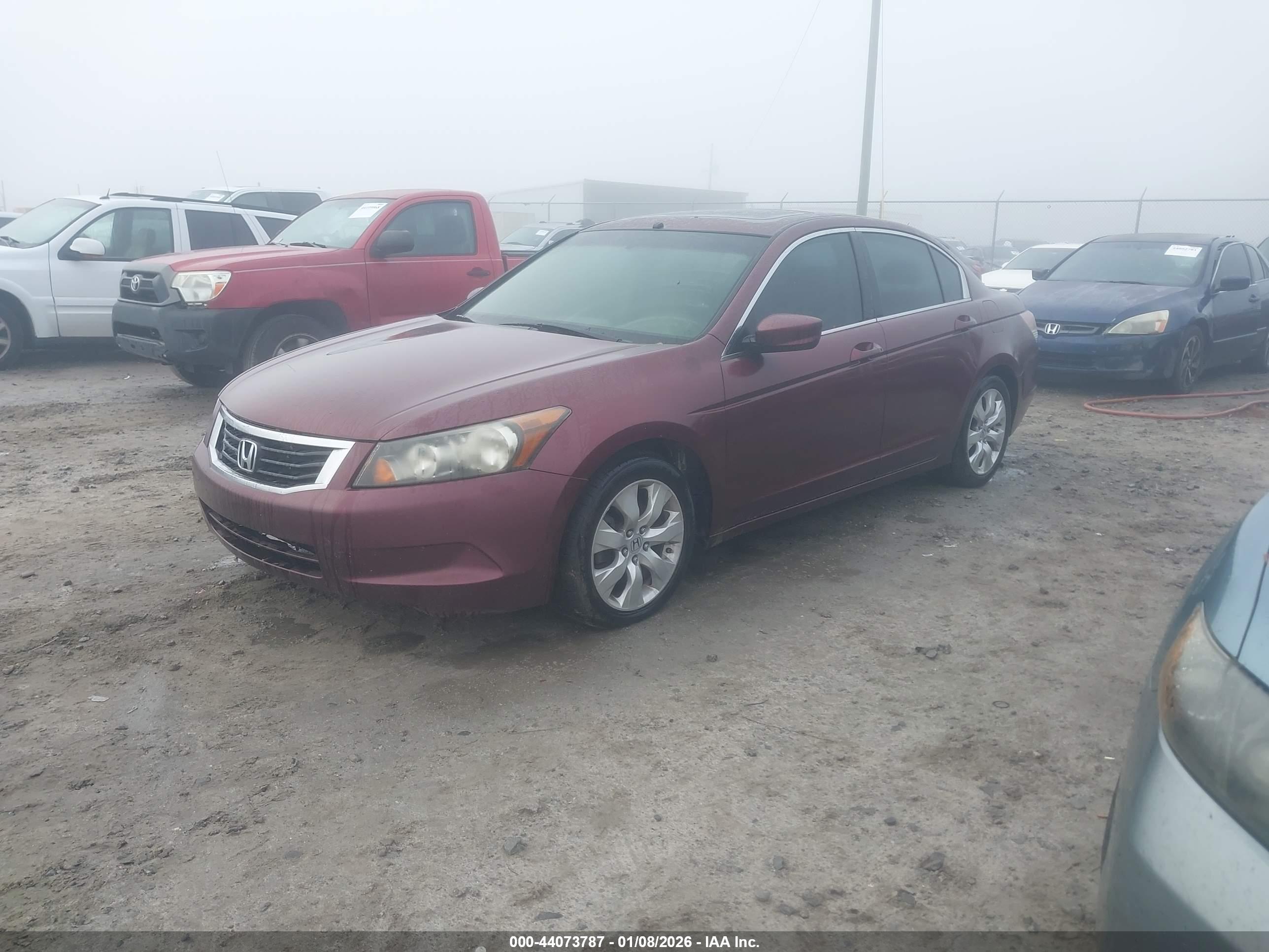 HONDA ACCORD image 2