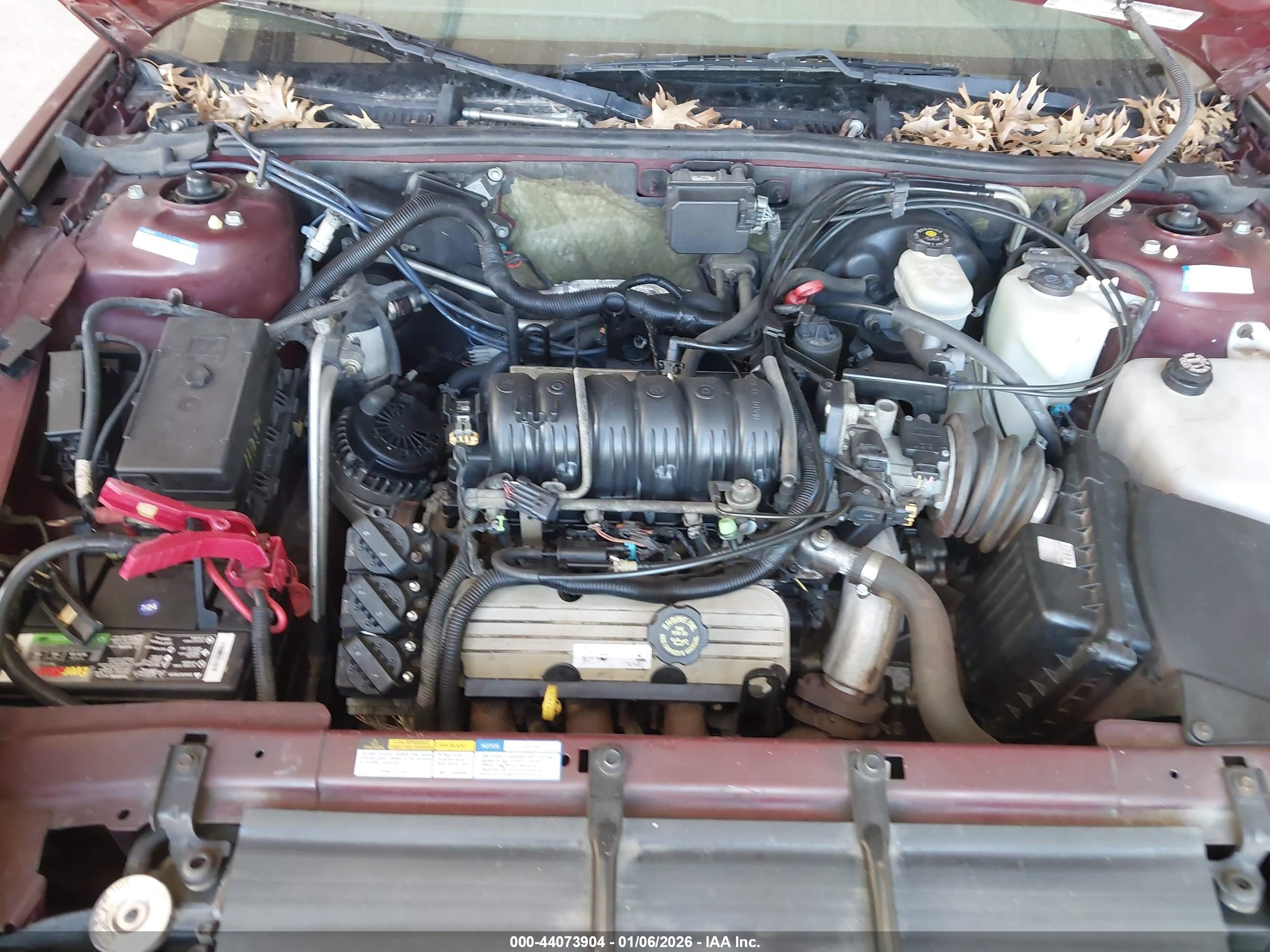 BUICK PARK image 10