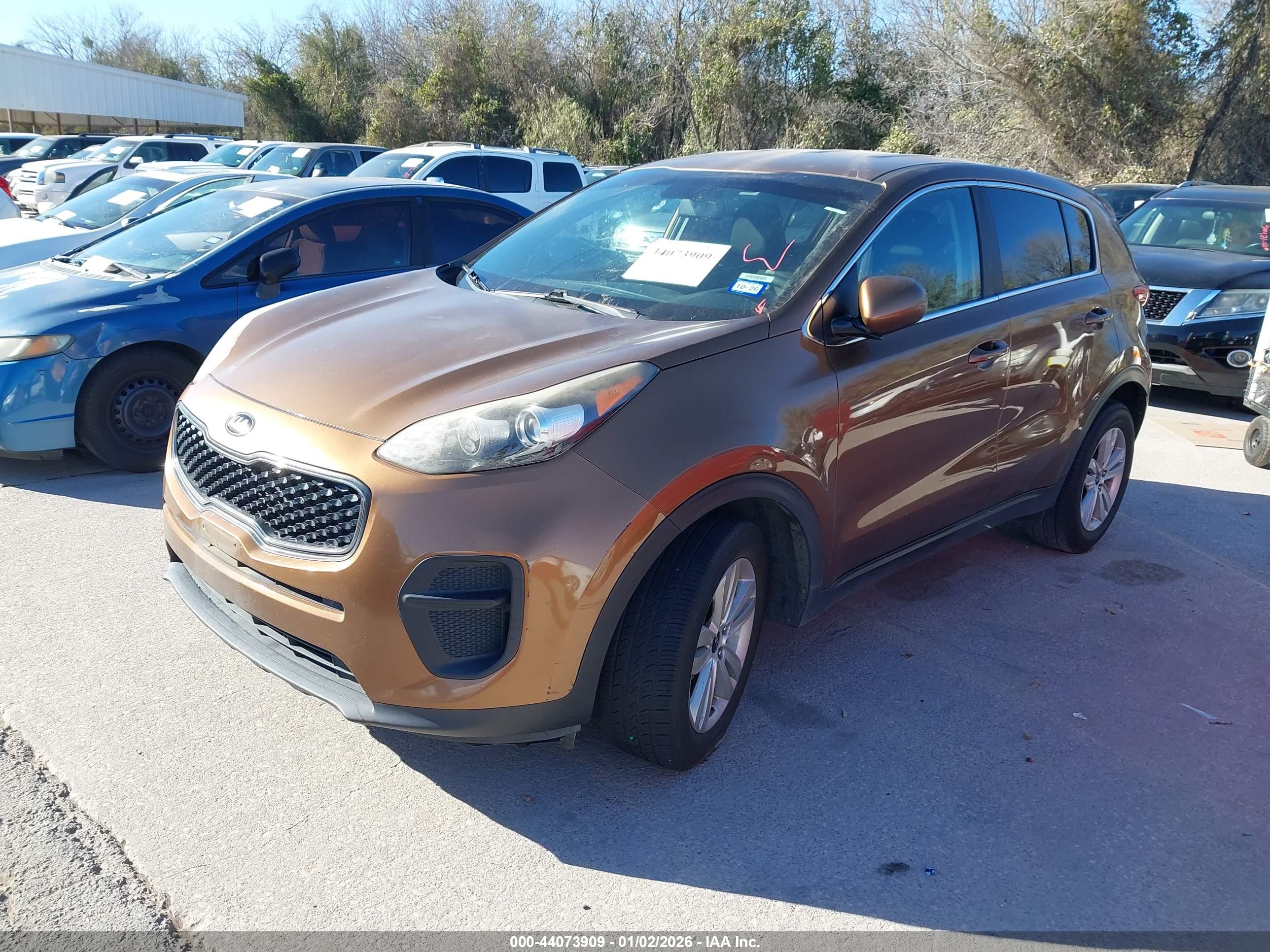 KIA SPORTAGE image 2