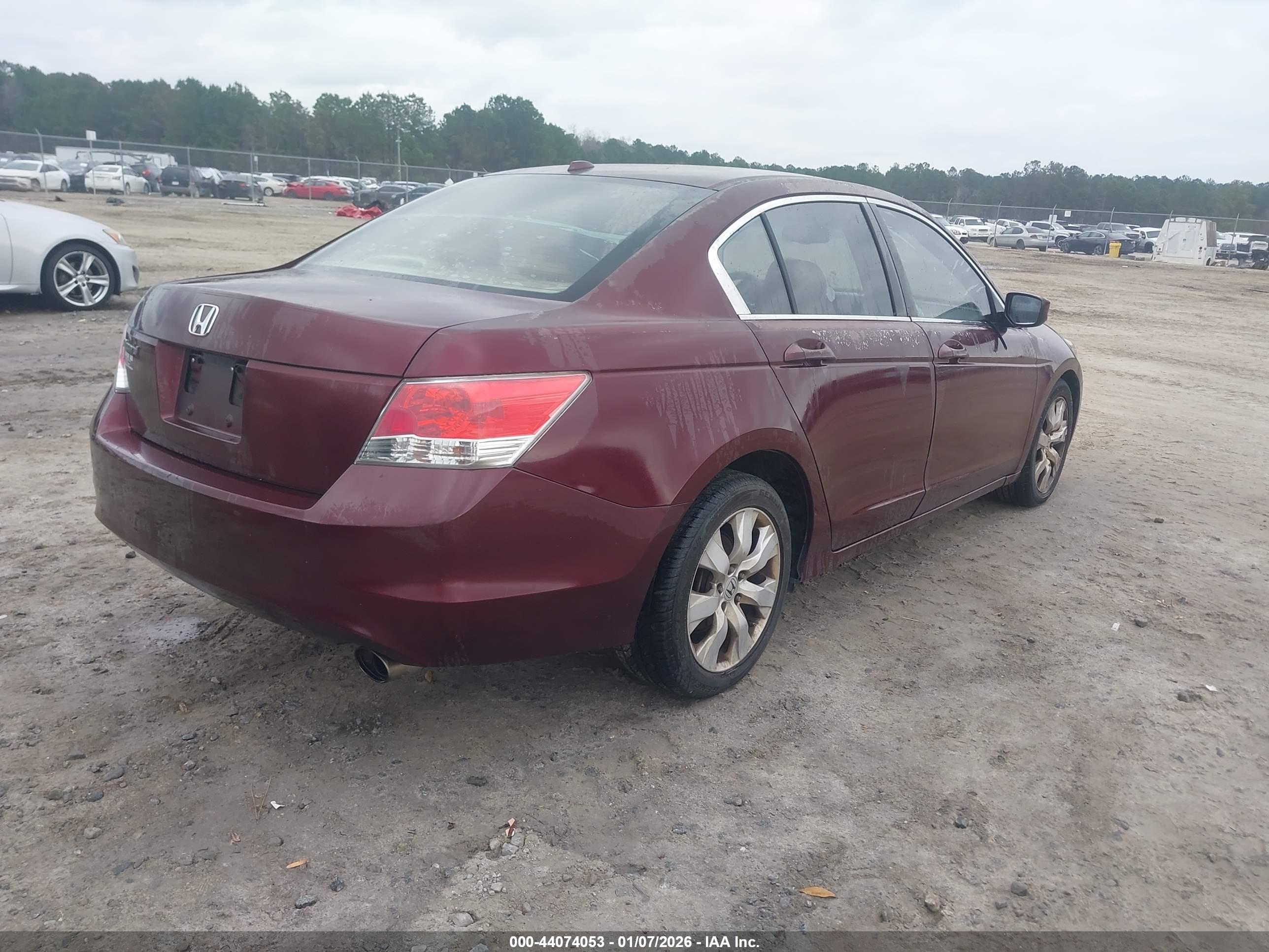 HONDA ACCORD image 4