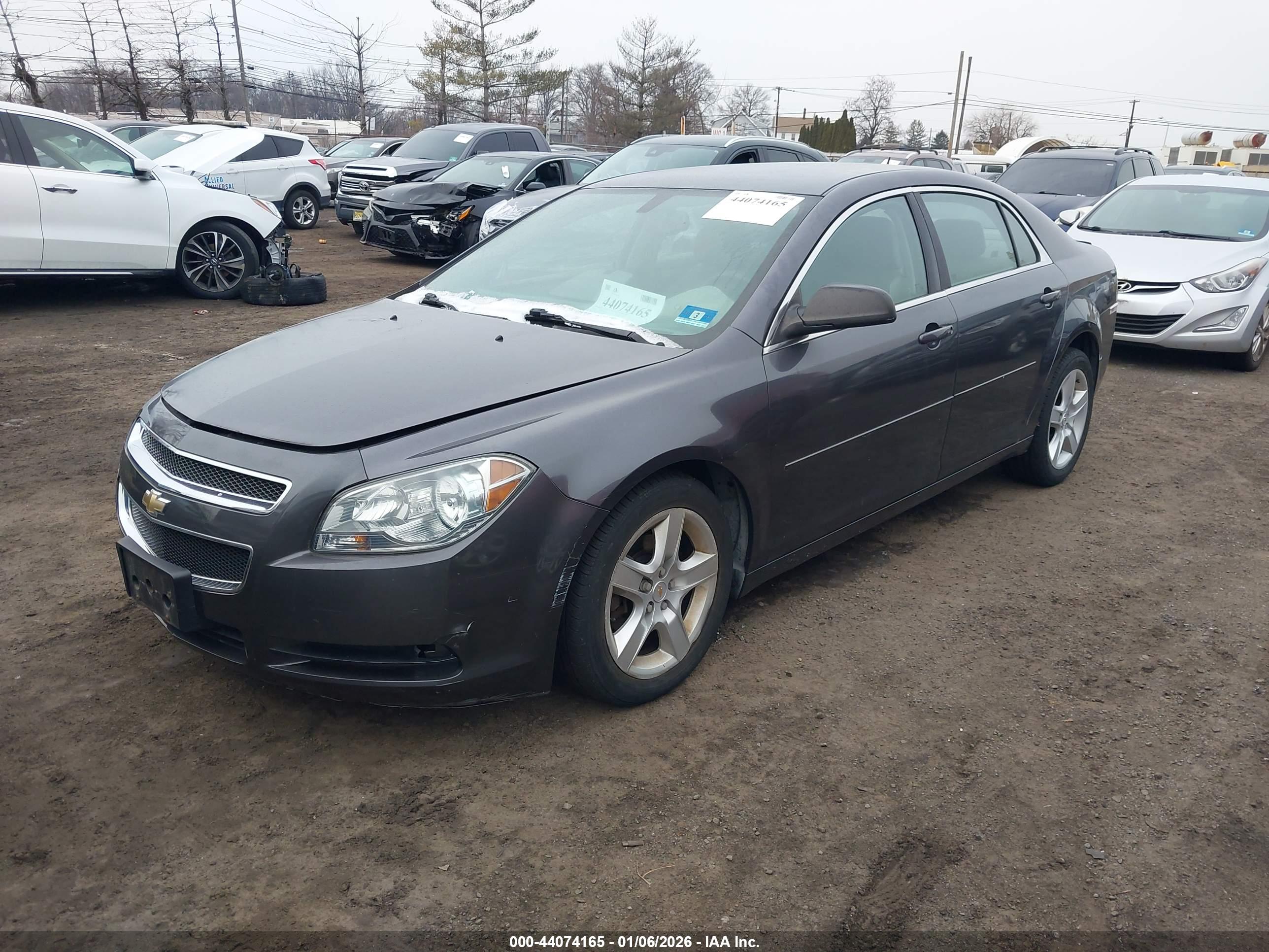 CHEVROLET MALIBU image 2