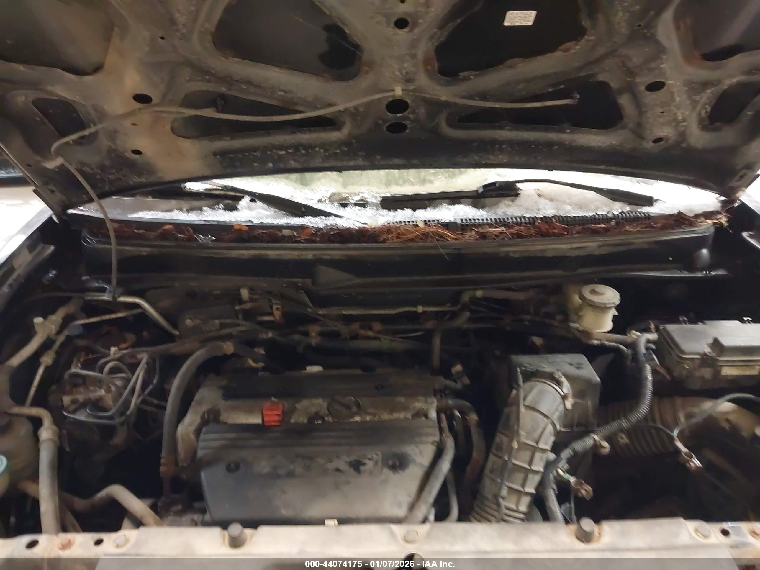 HONDA ELEMENT image 10