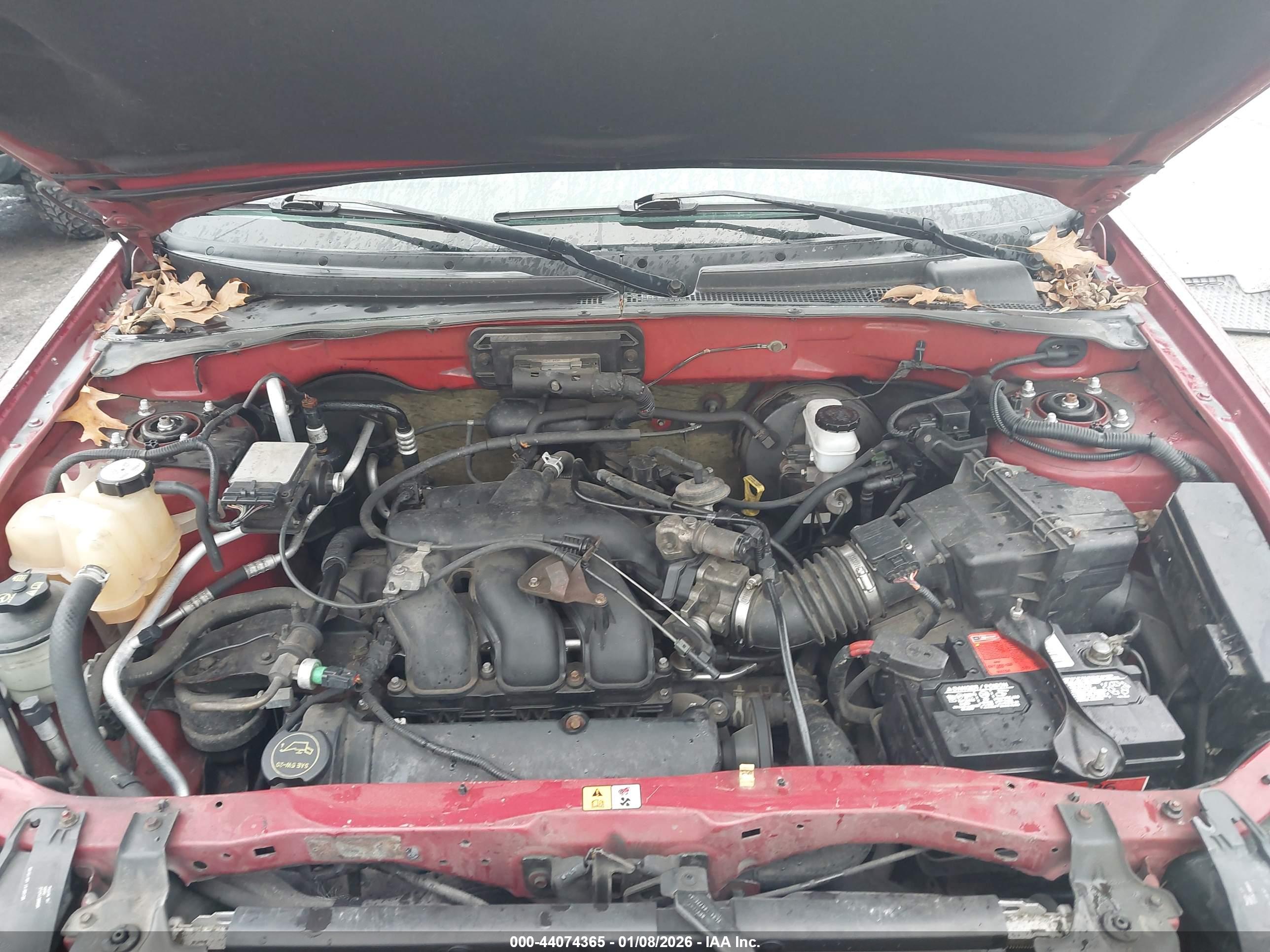 MAZDA TRIBUTE image 10