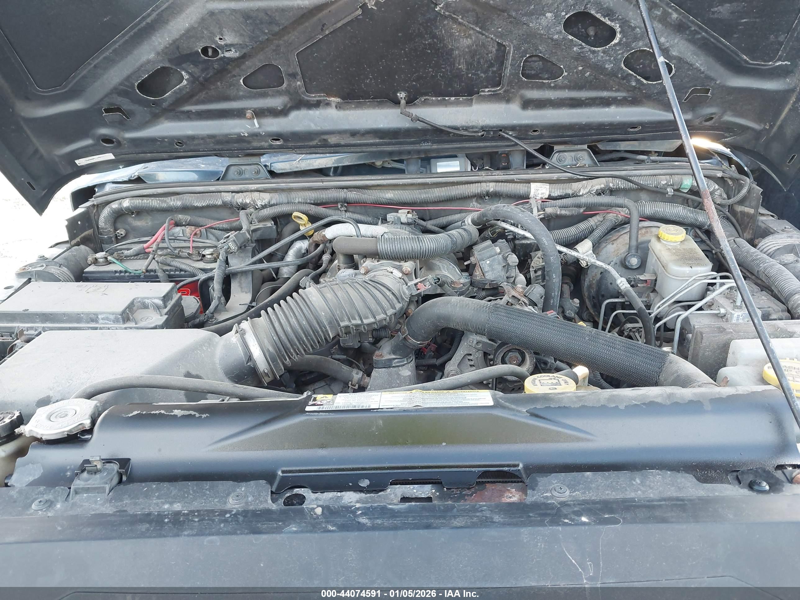 JEEP WRANGLER image 10