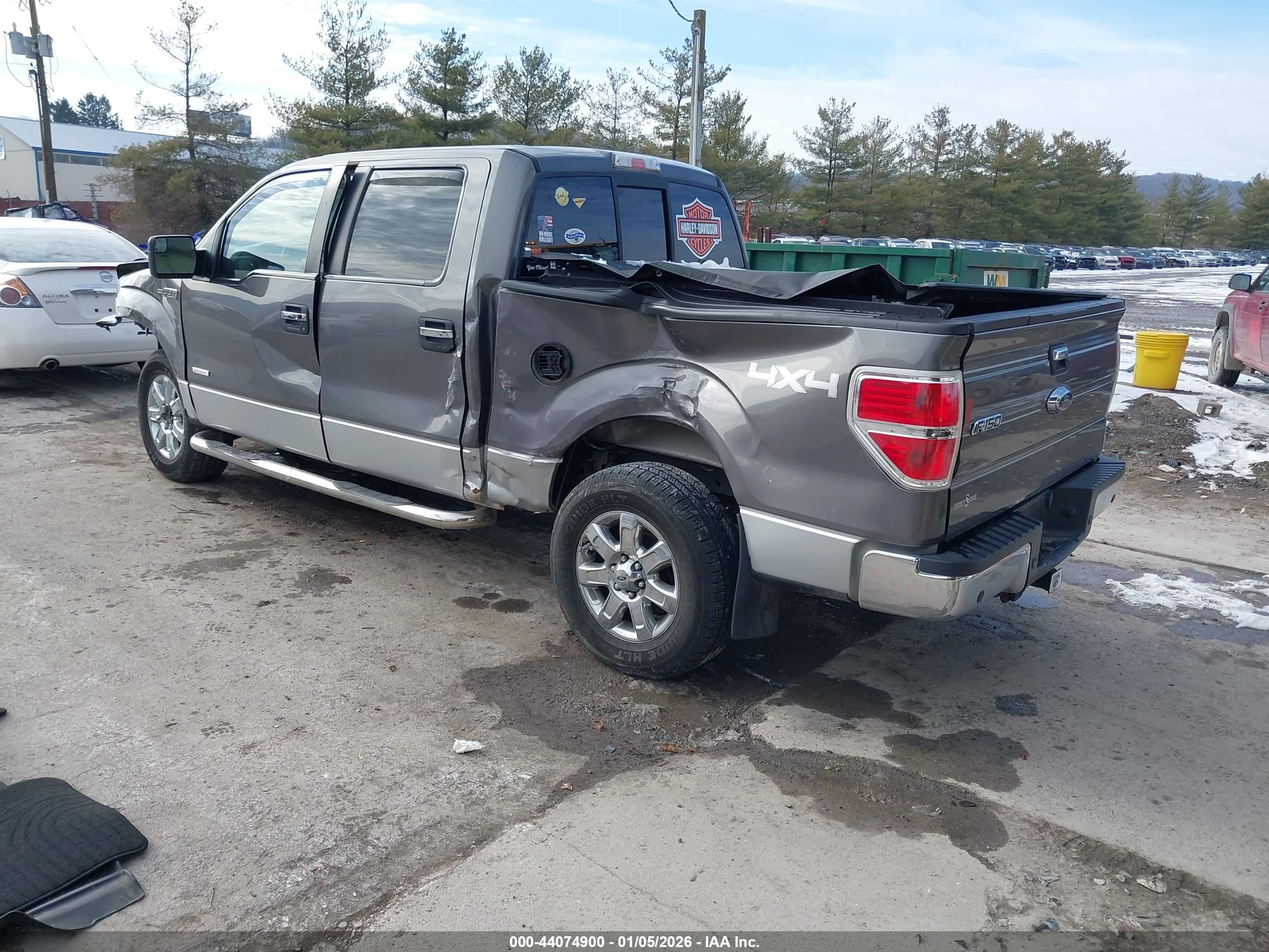 FORD F-150 image 3