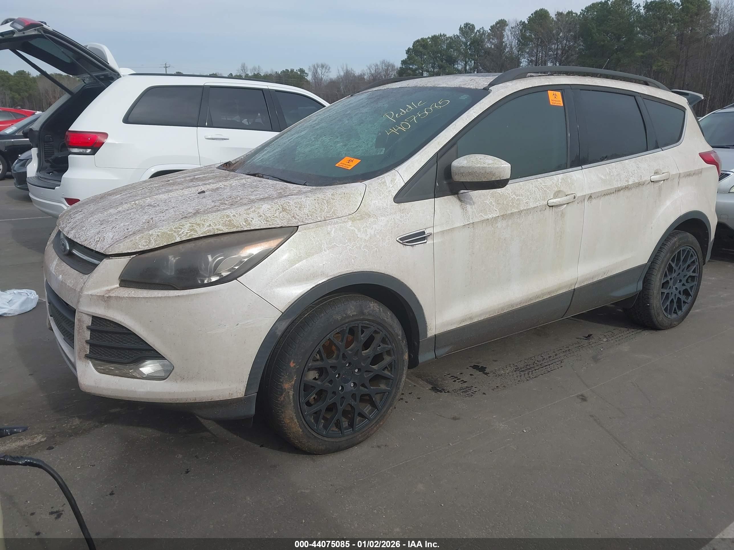 FORD ESCAPE image 2