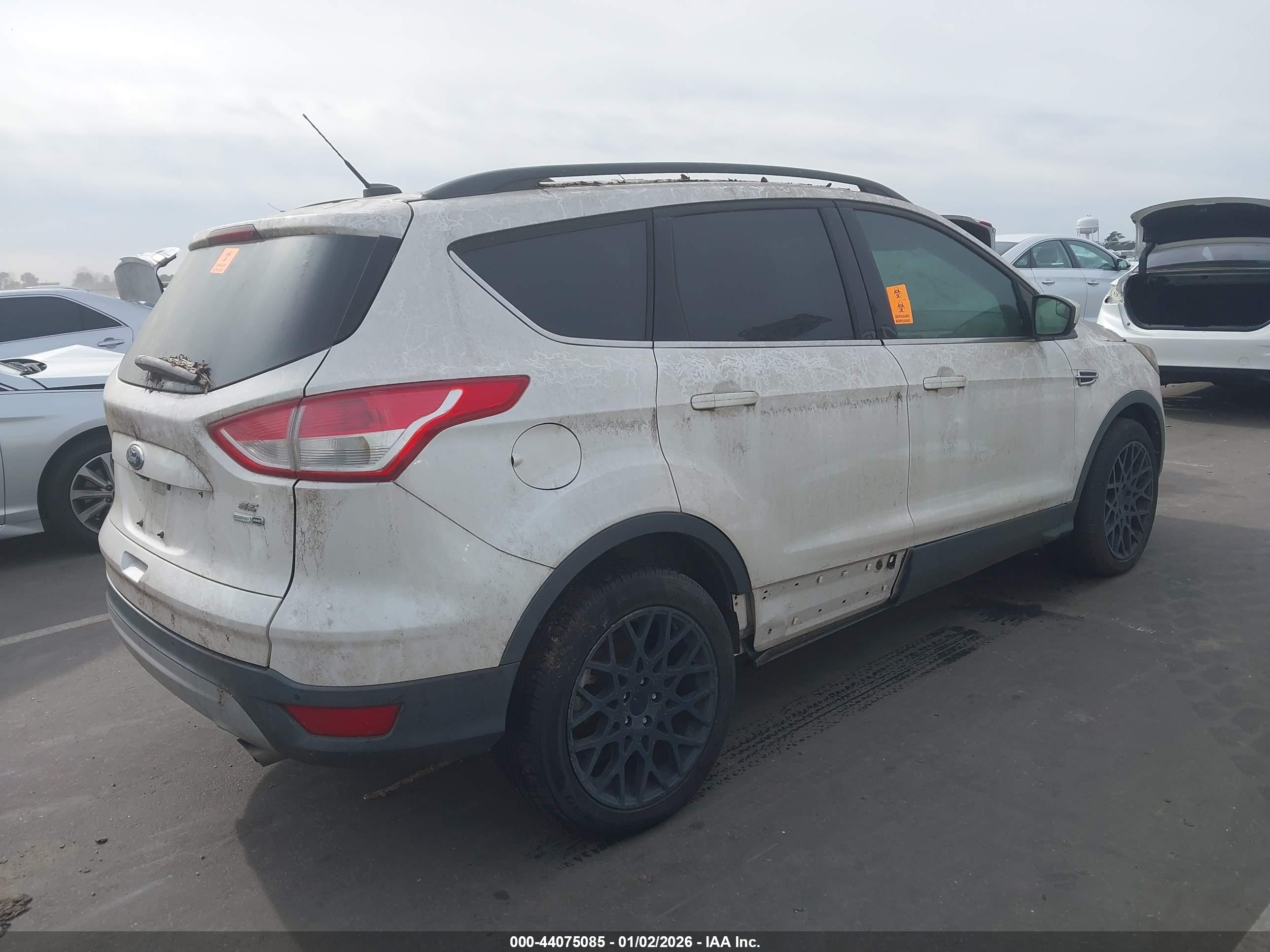 FORD ESCAPE image 4