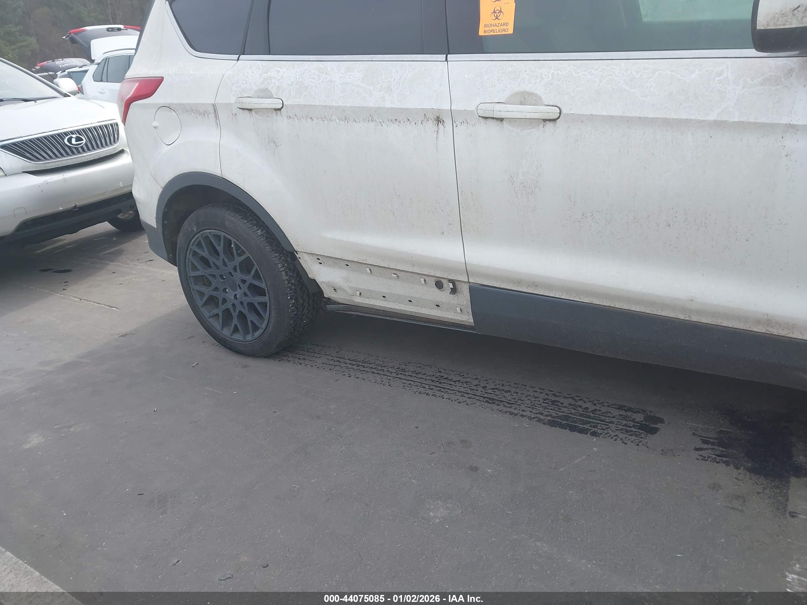 FORD ESCAPE image 6