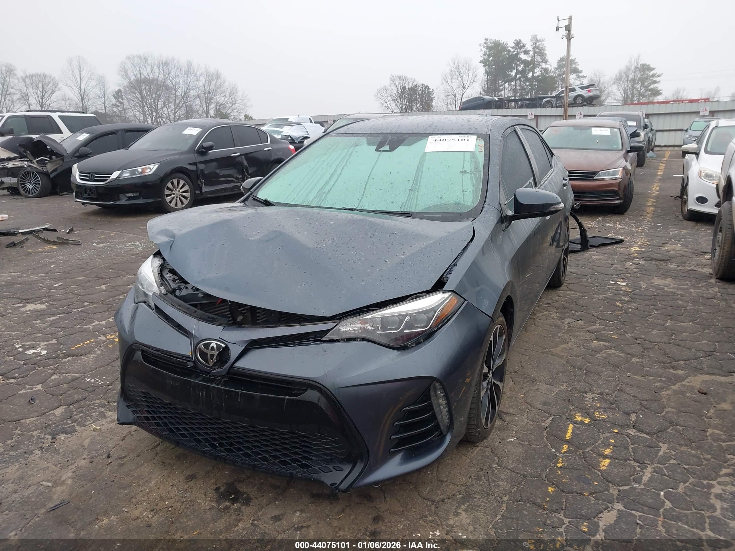 TOYOTA COROLLA image 2