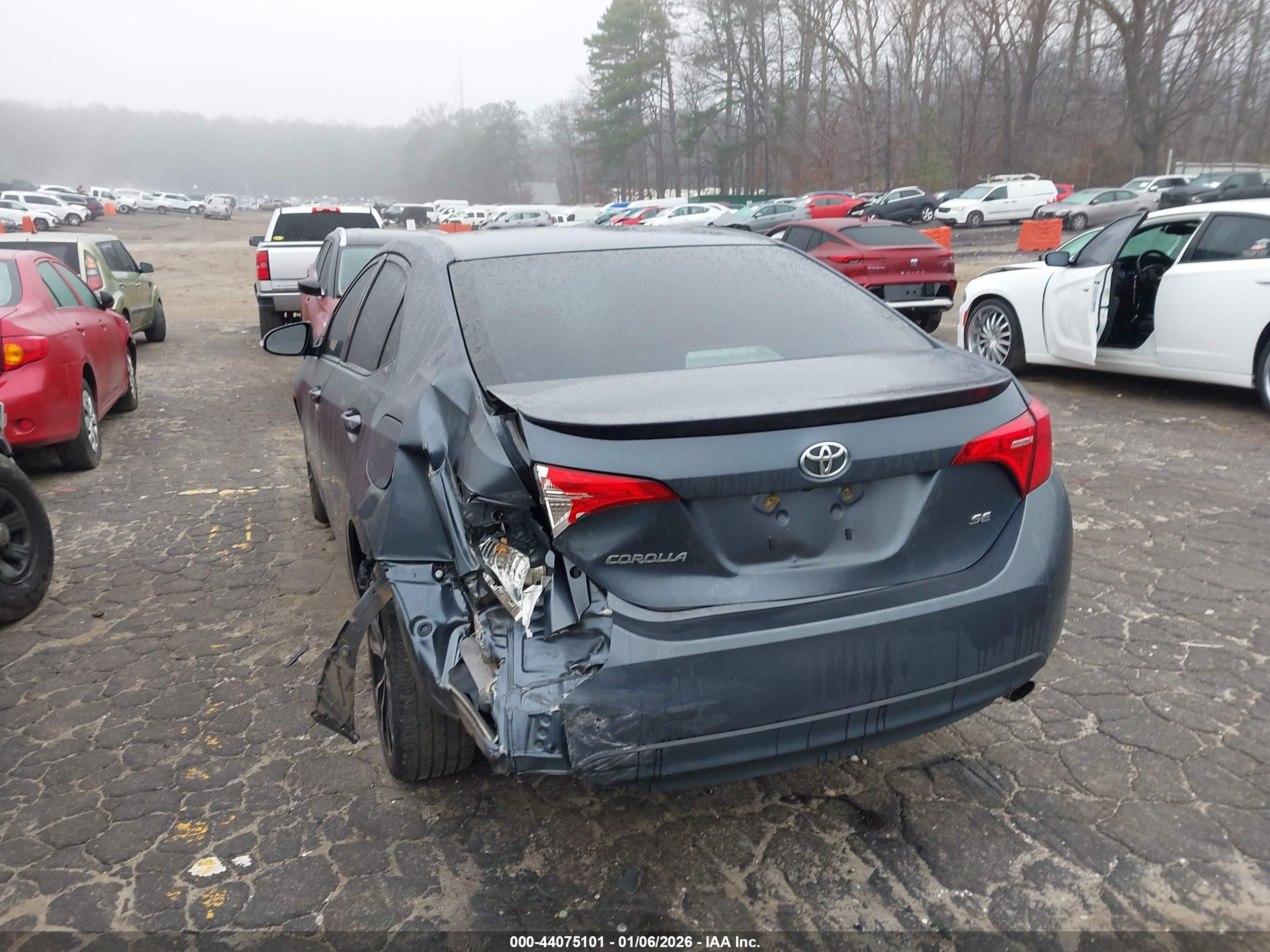 TOYOTA COROLLA image 3