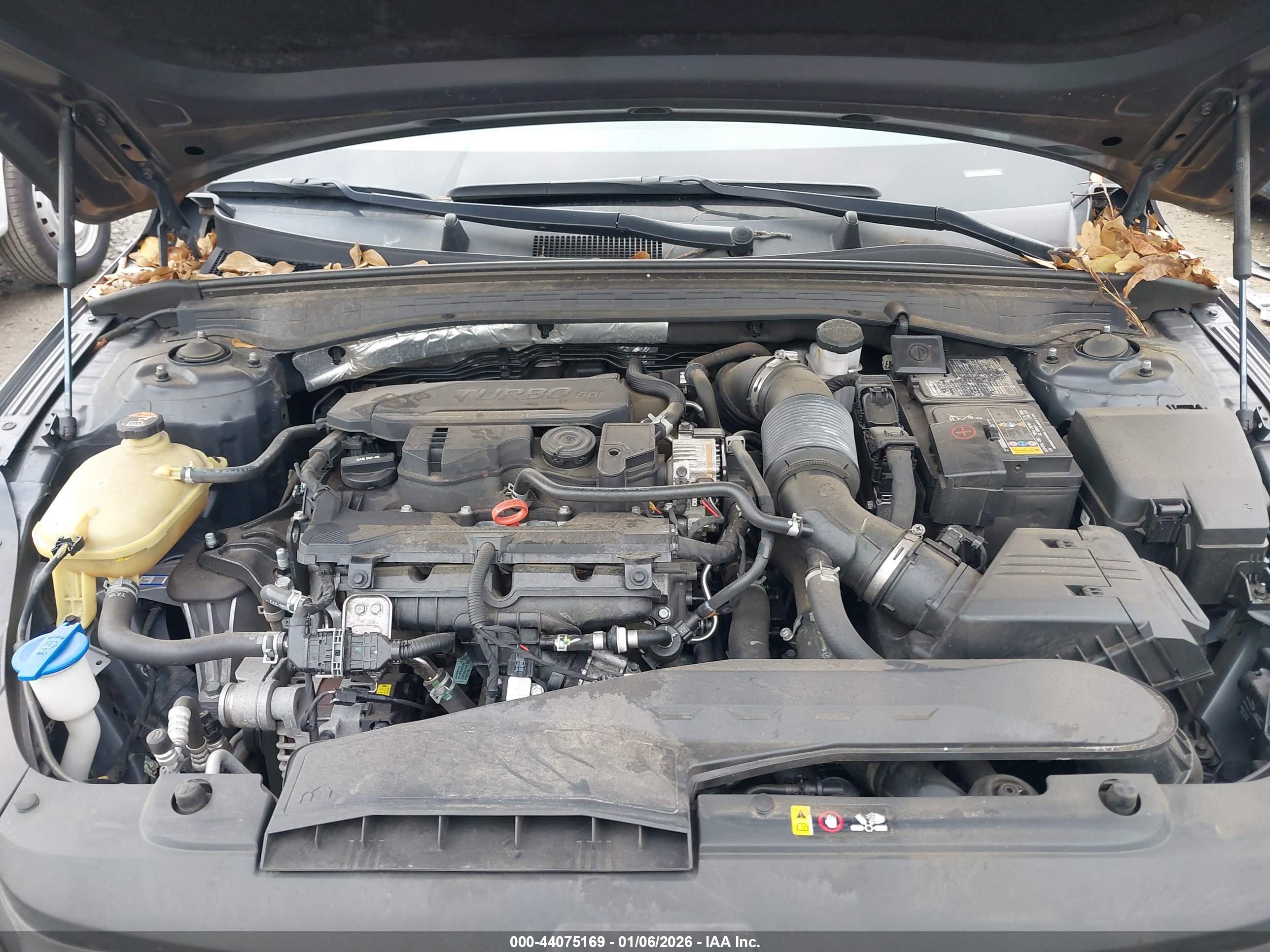 KIA K5 image 10