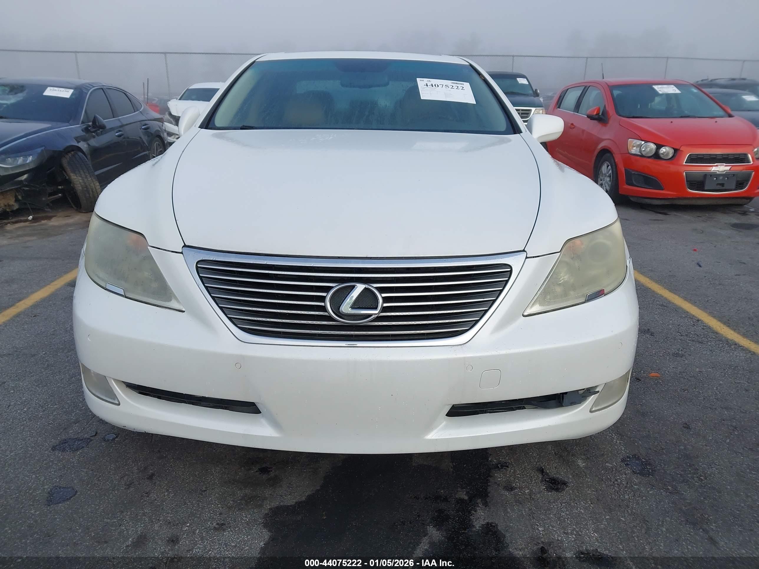 LEXUS LS image 6