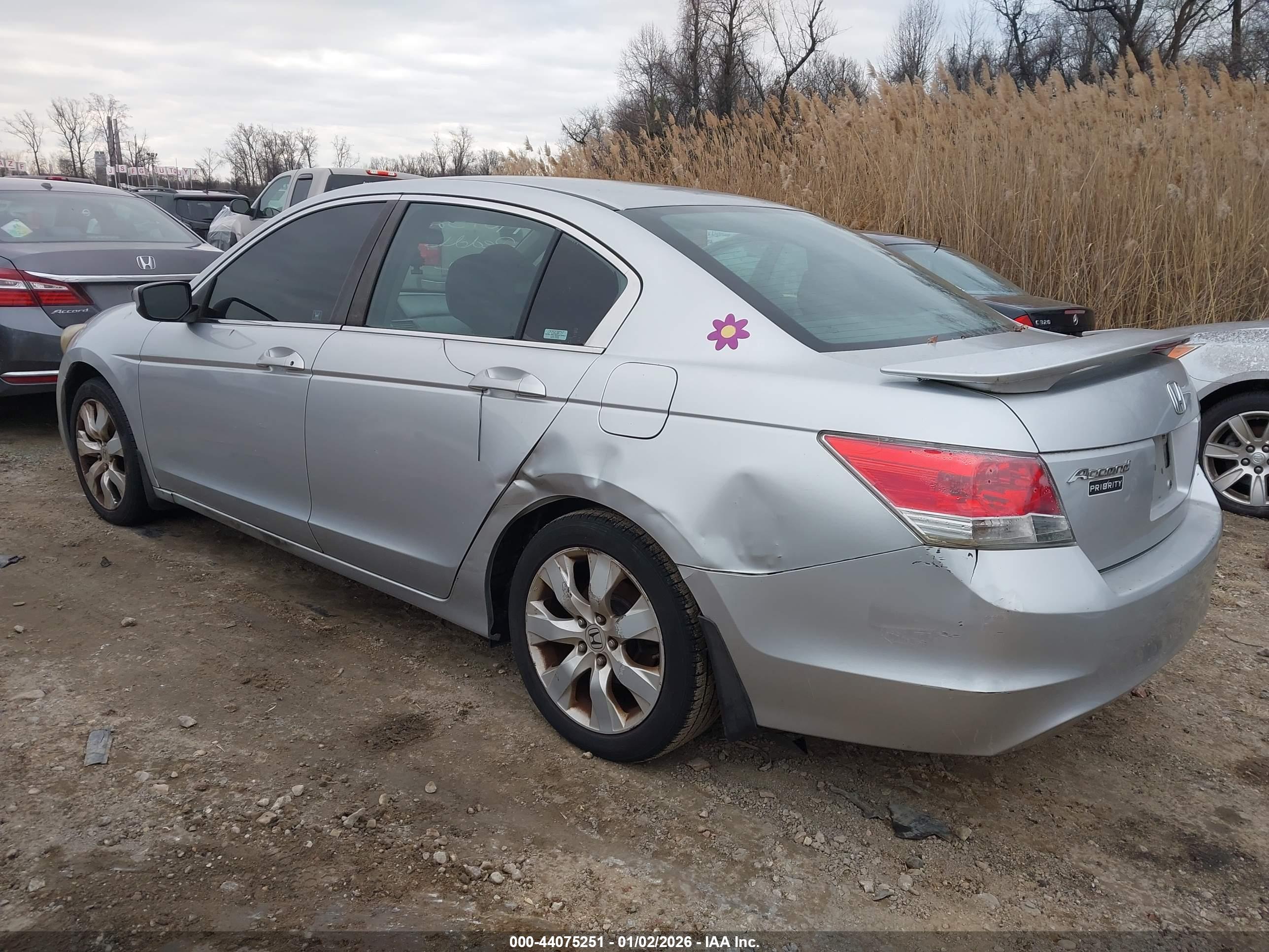 HONDA ACCORD image 3
