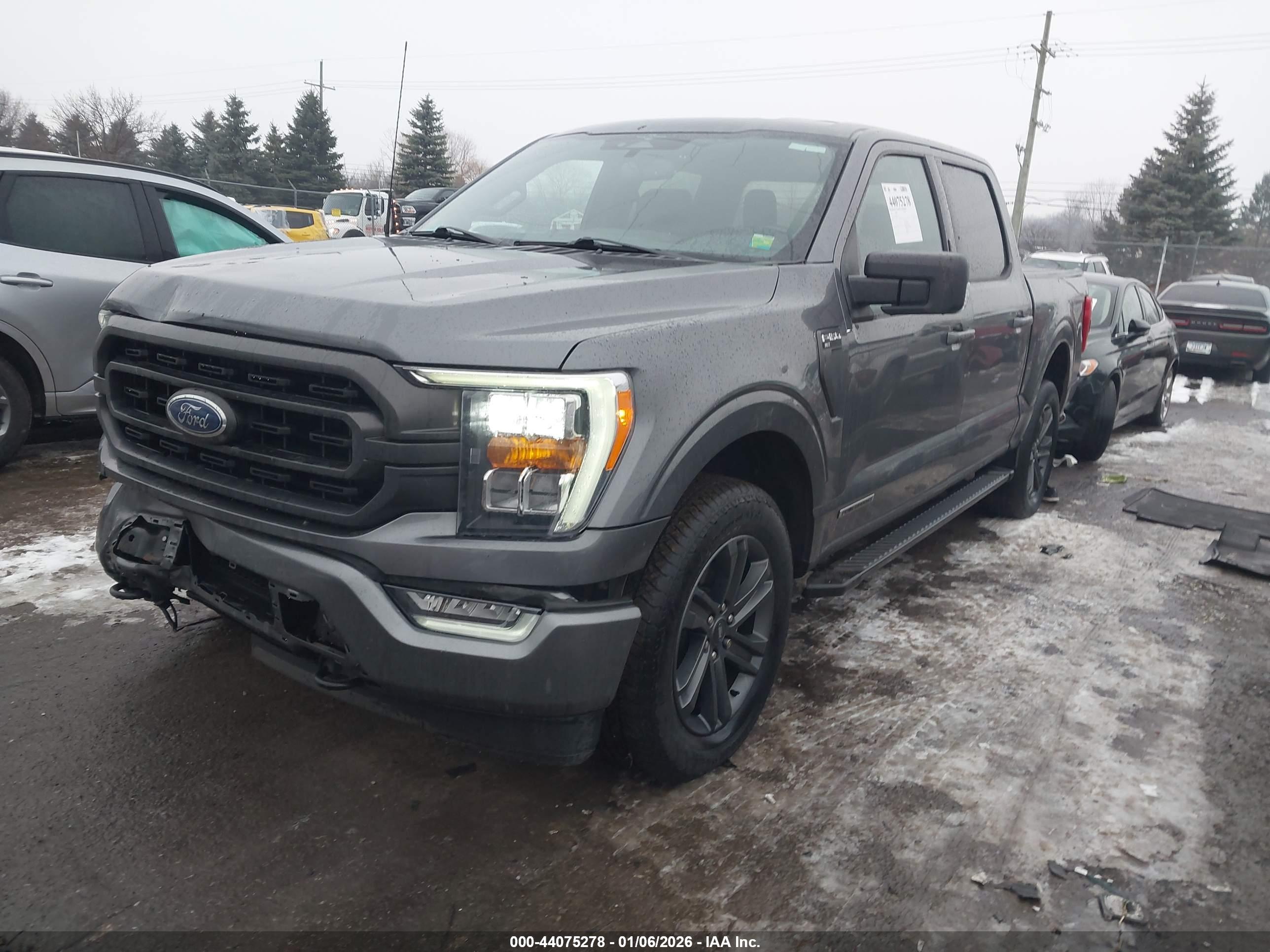 FORD F-150 image 2