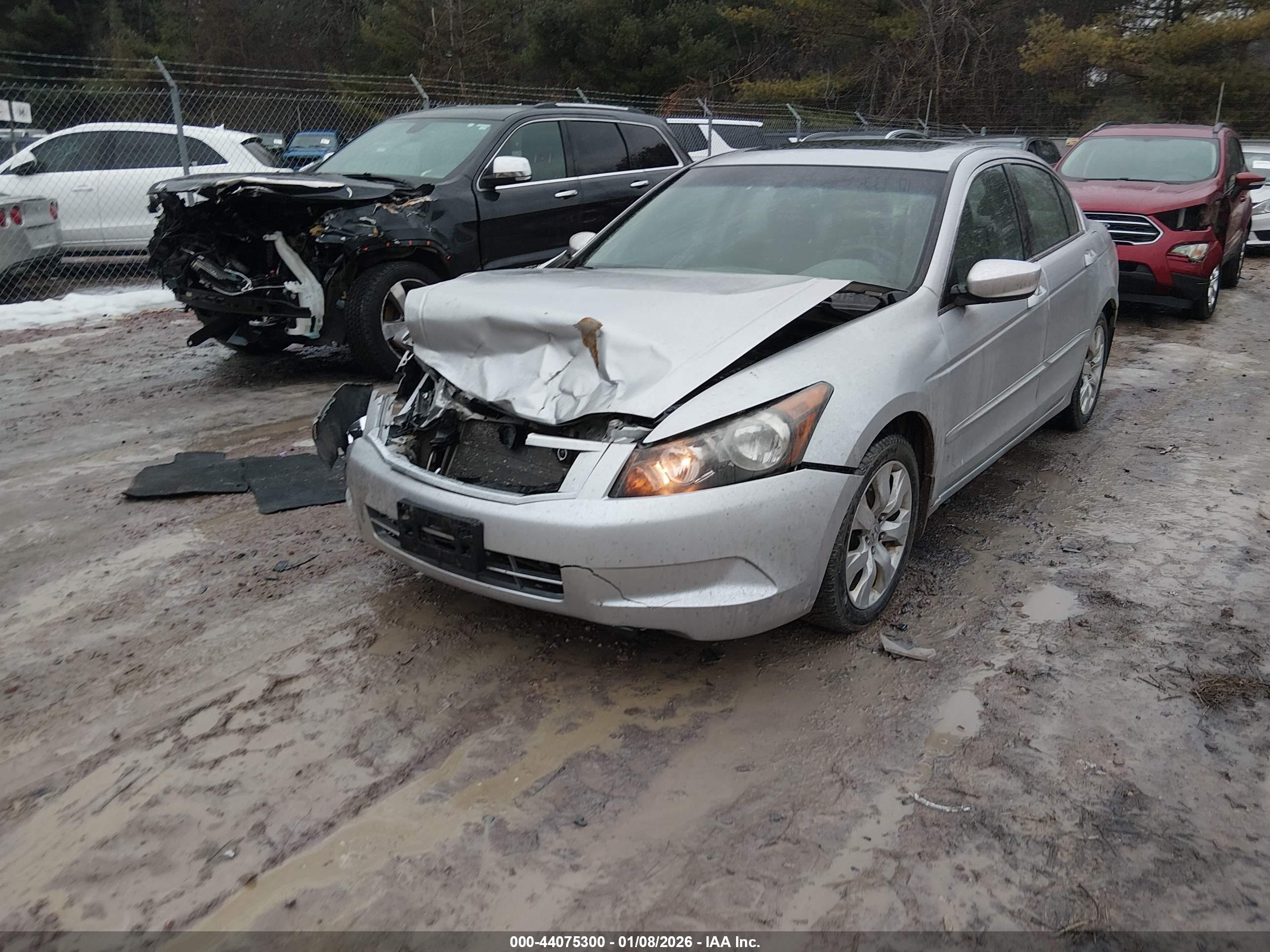 HONDA ACCORD image 2