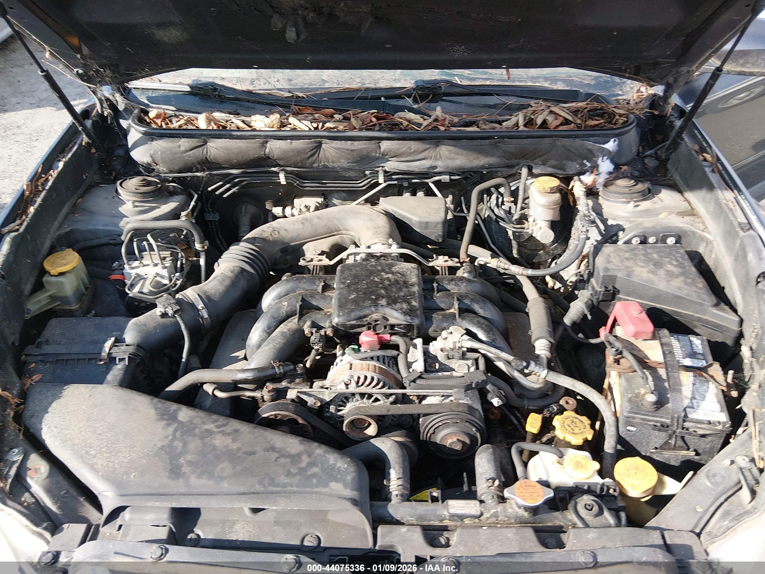 SUBARU OUTBACK image 10