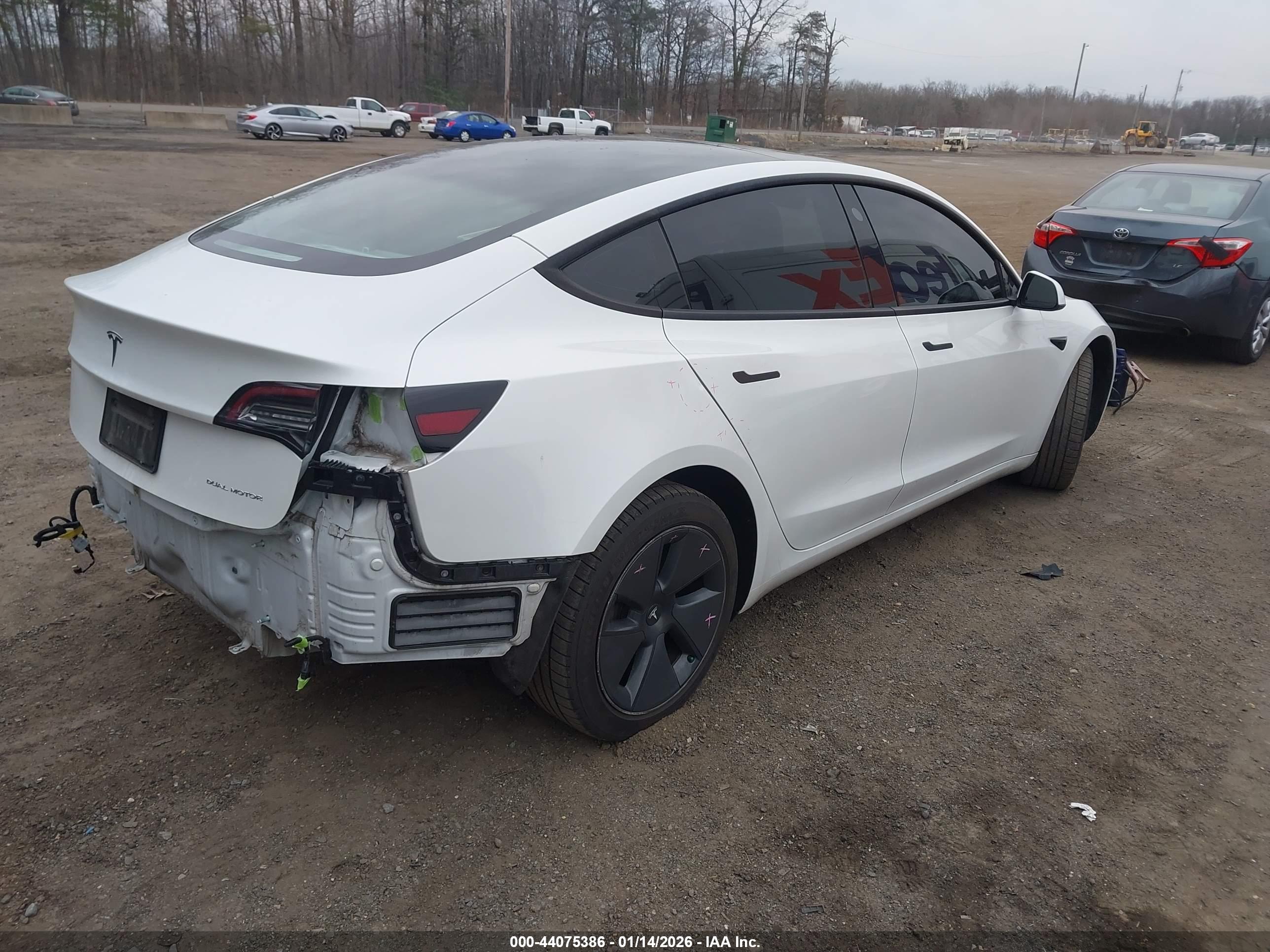 TESLA MODEL image 4