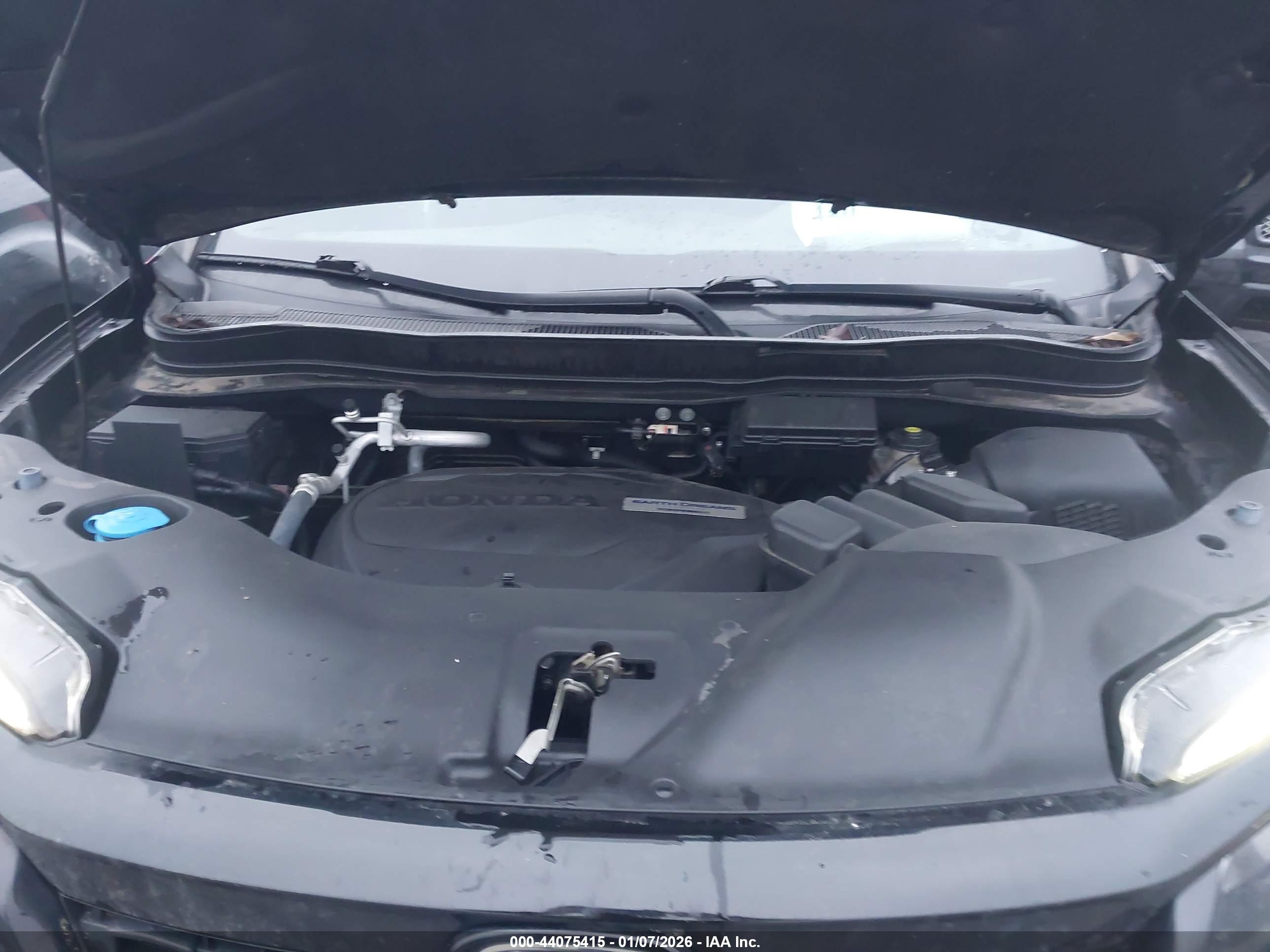 HONDA PASSPORT image 10