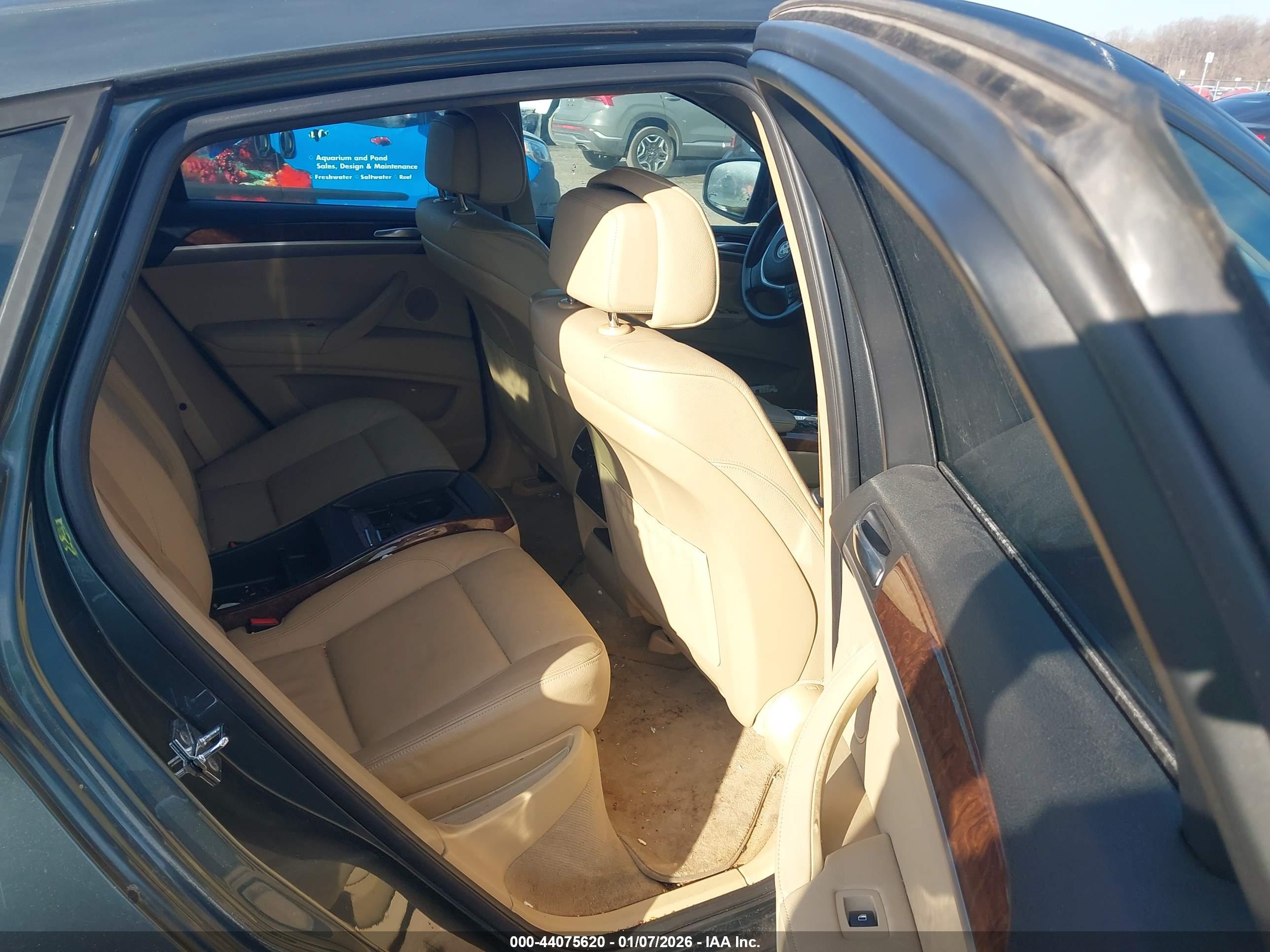 BMW X6 image 8