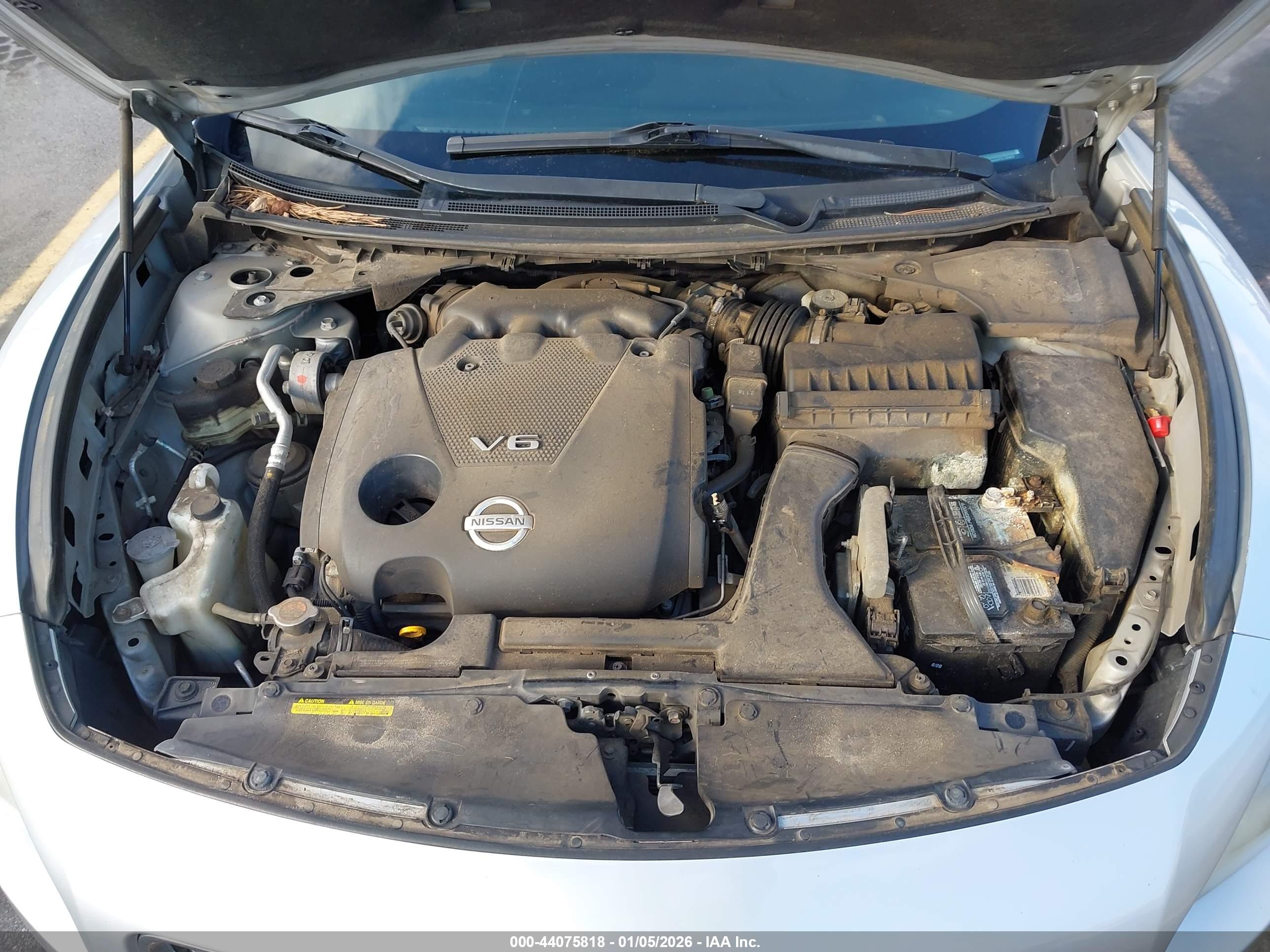 NISSAN MAXIMA image 10