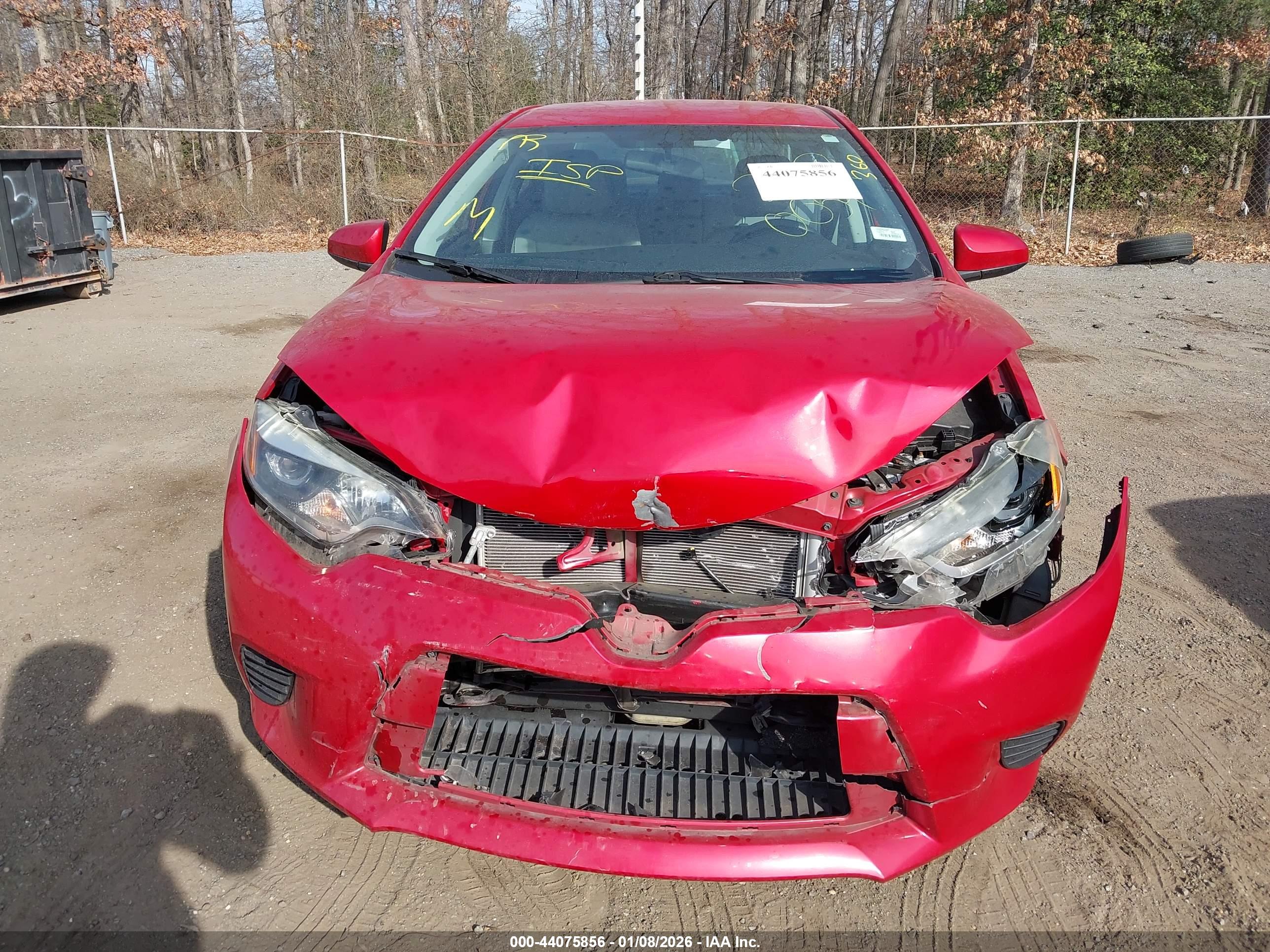 TOYOTA COROLLA image 6