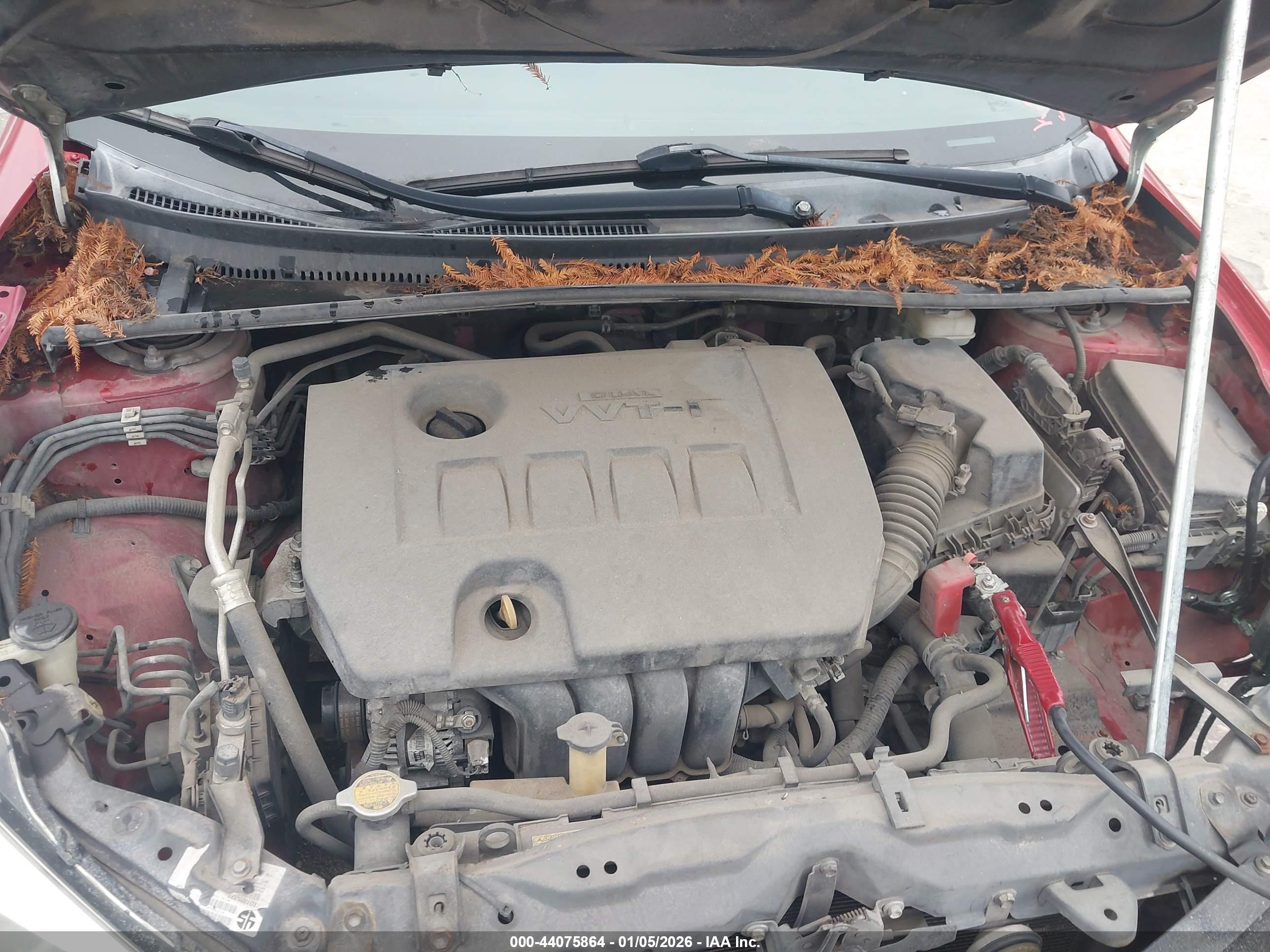 TOYOTA COROLLA image 10
