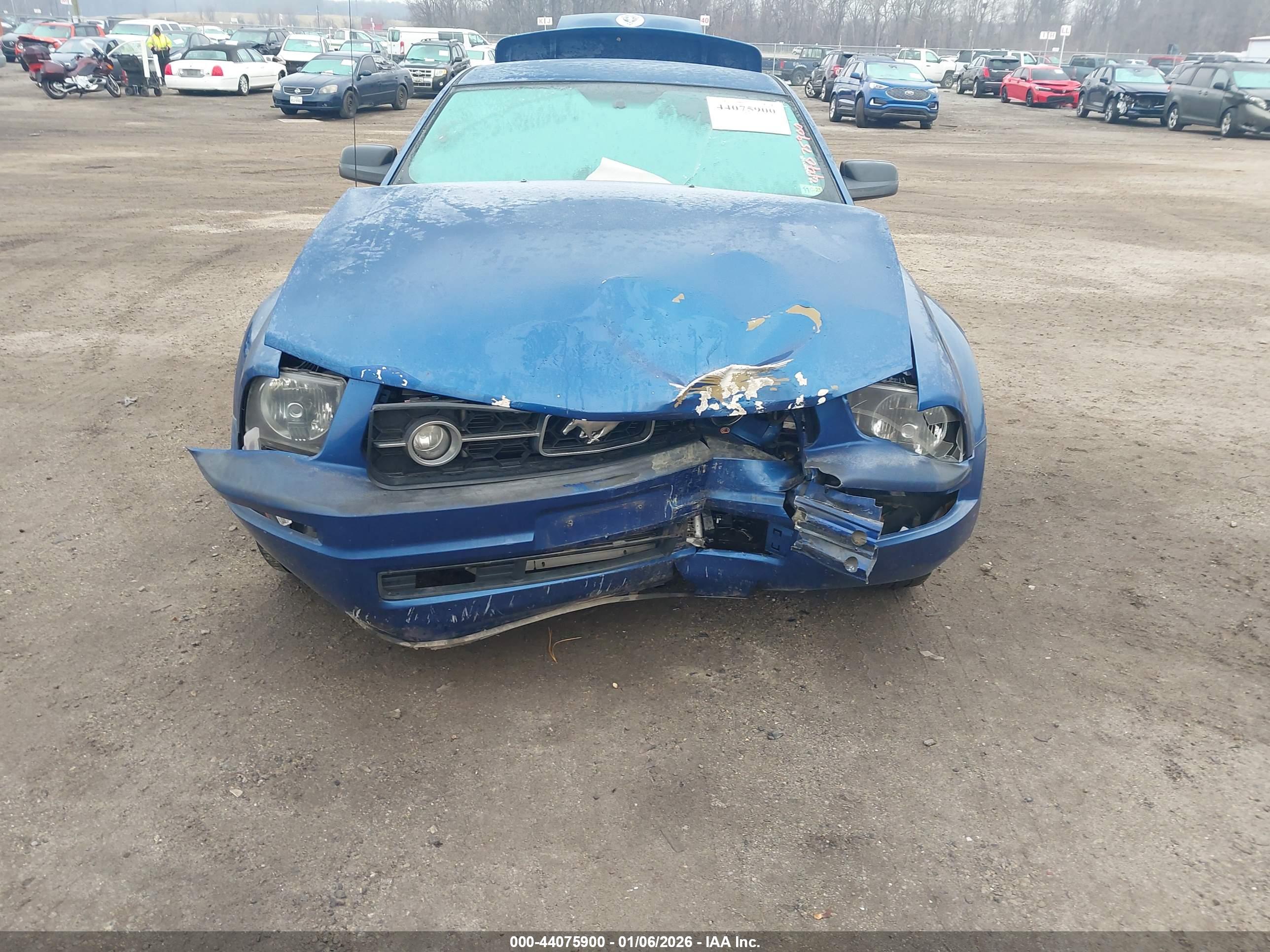 FORD MUSTANG image 6