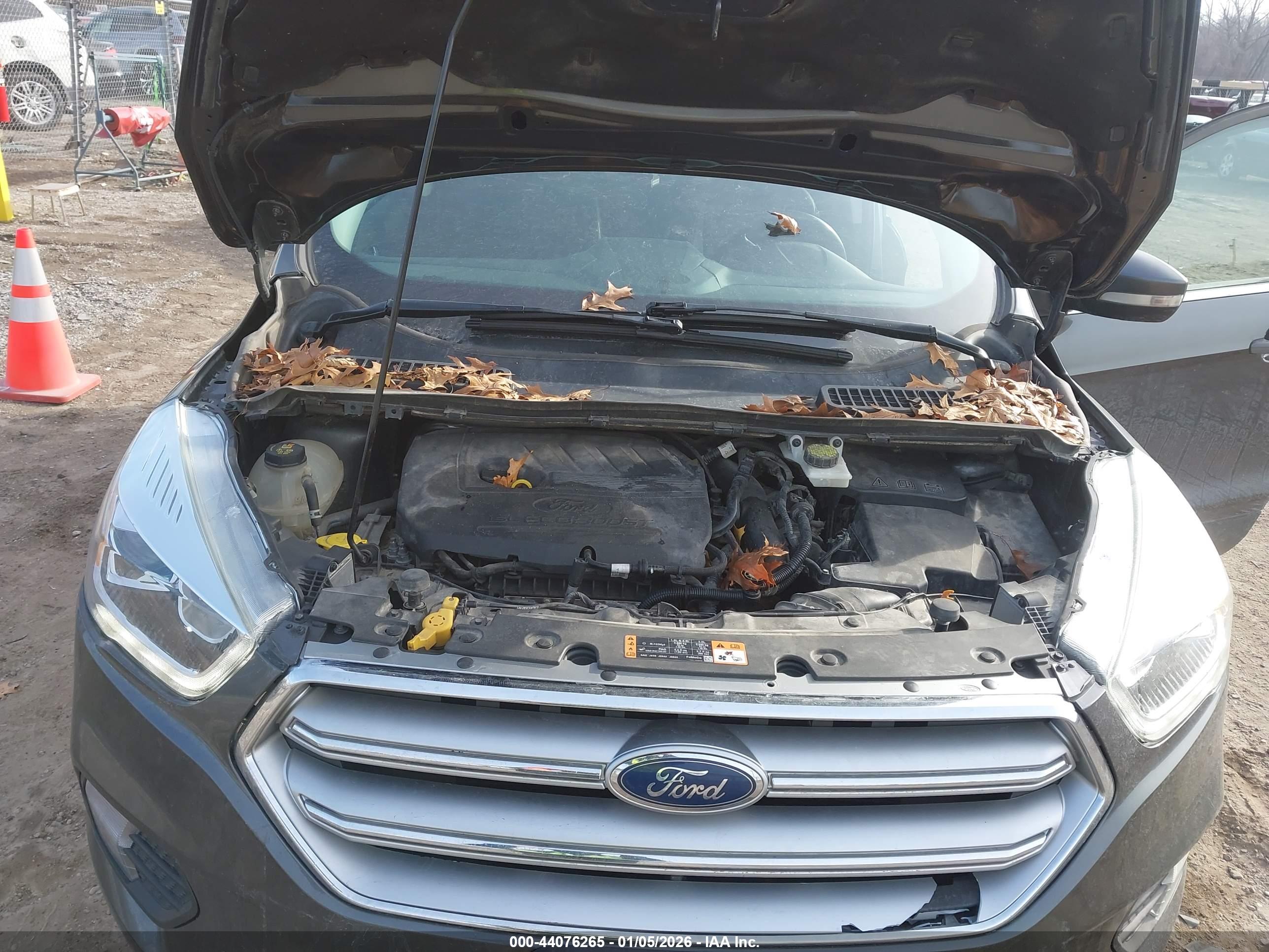 FORD ESCAPE image 10