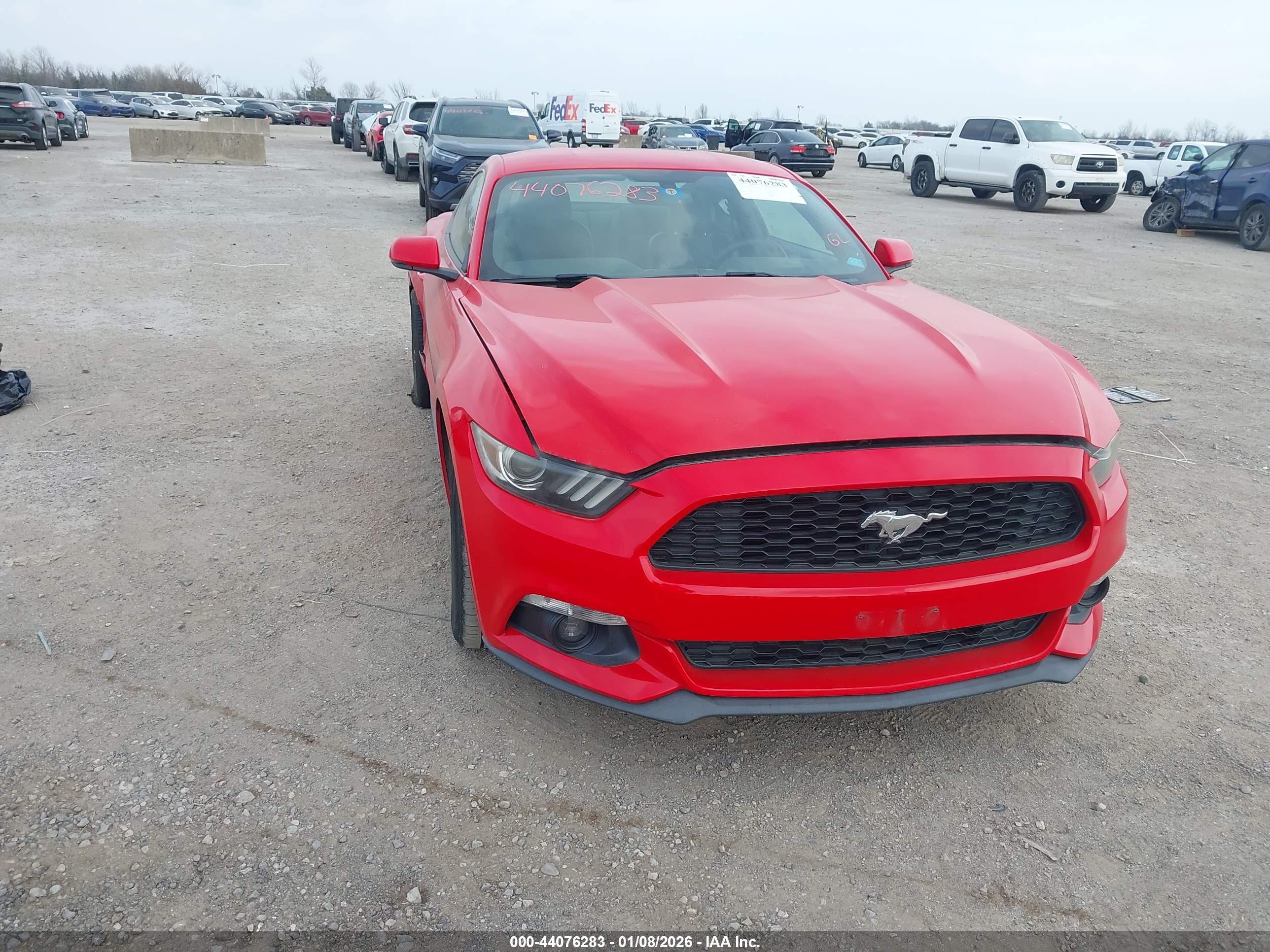 FORD MUSTANG image 6