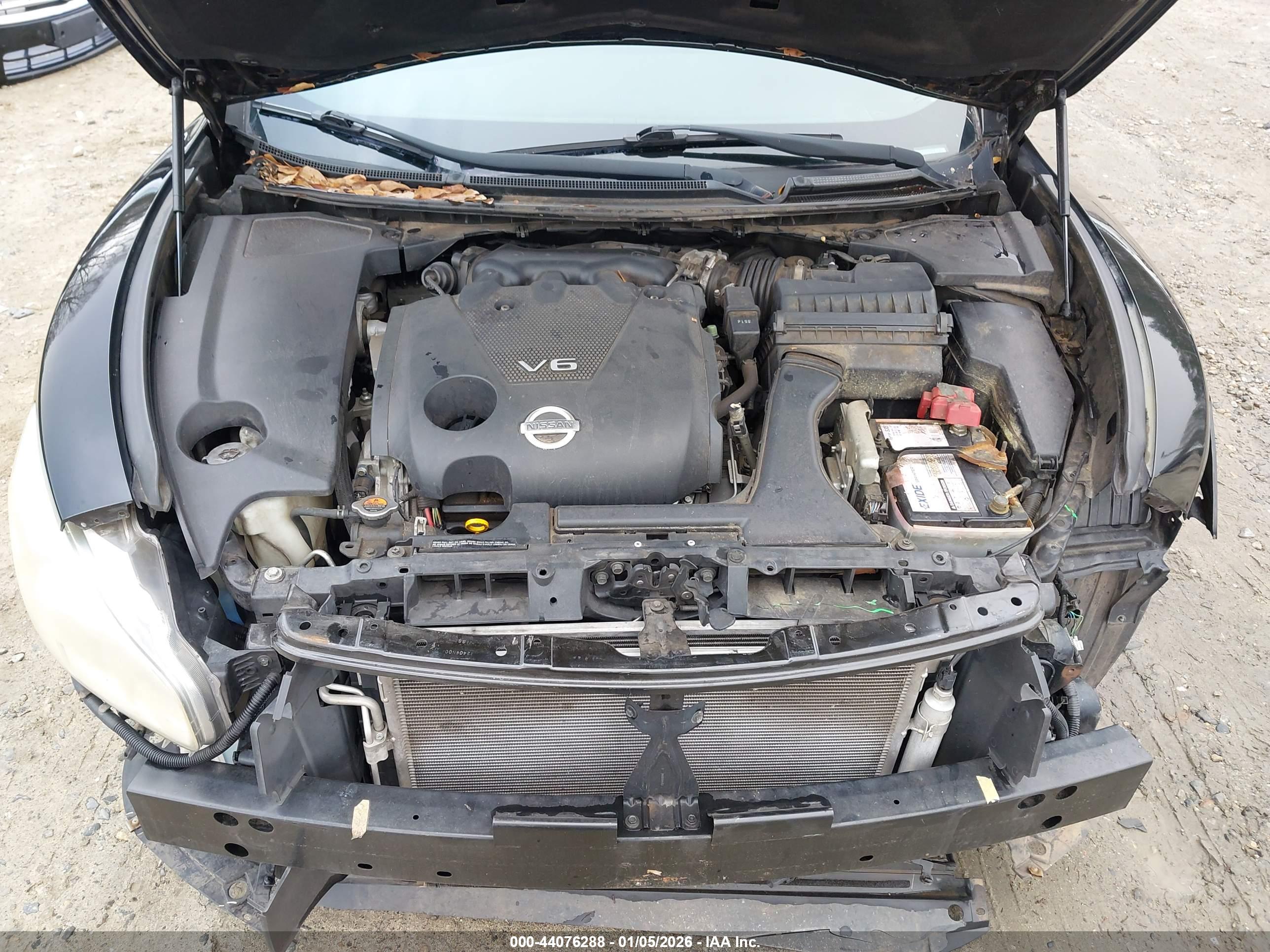 NISSAN MAXIMA image 10