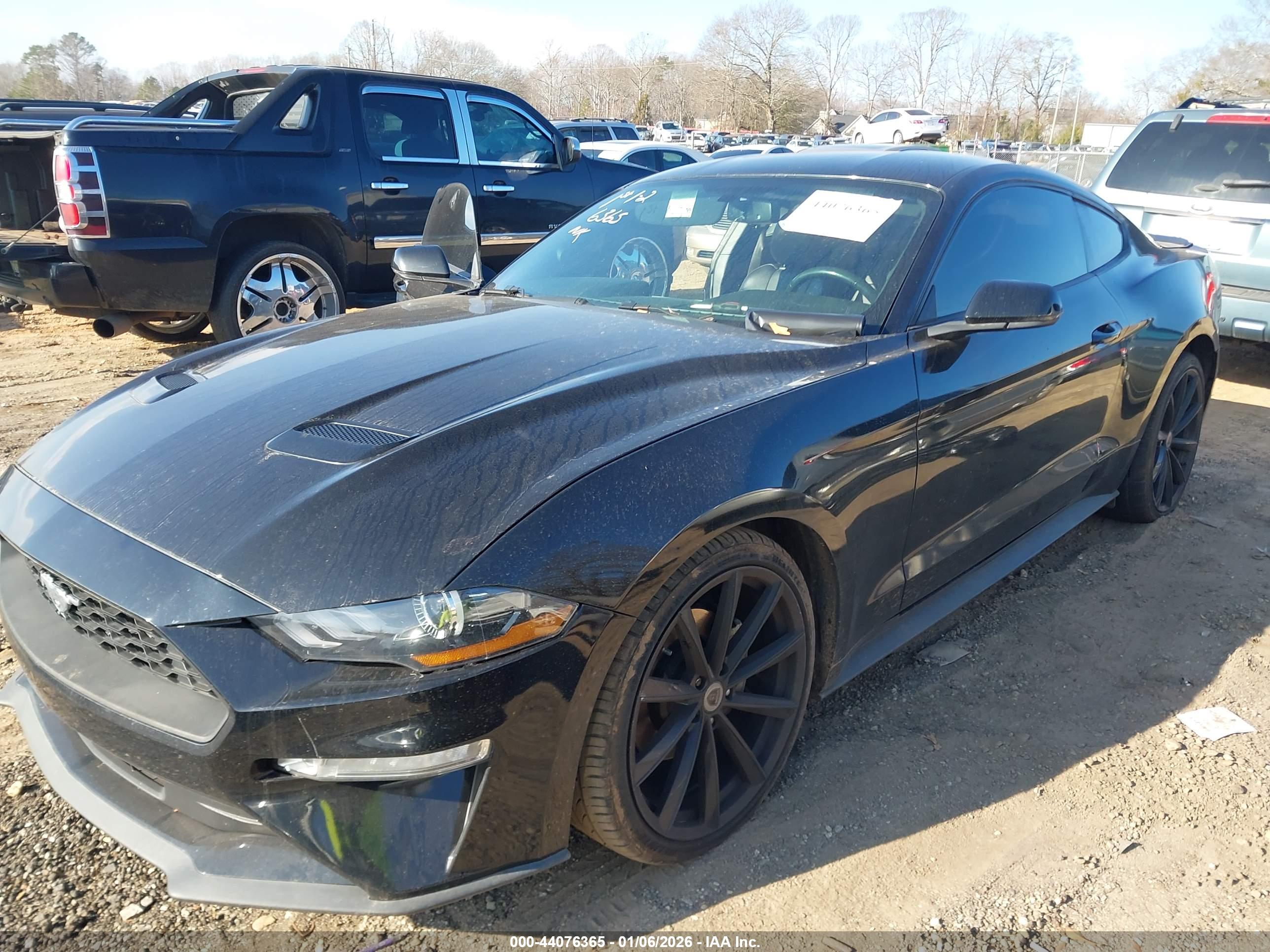 FORD MUSTANG image 2