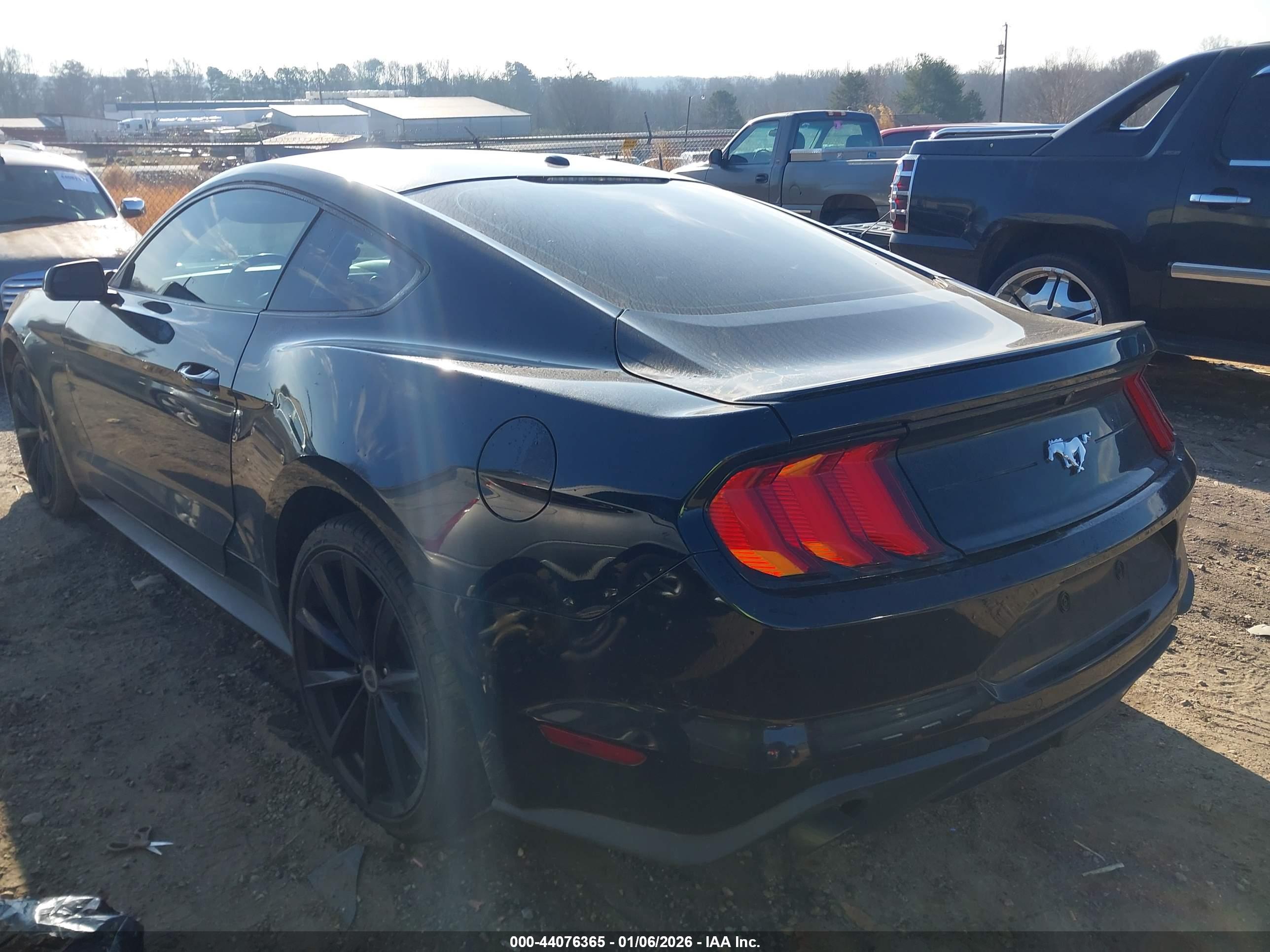 FORD MUSTANG image 3