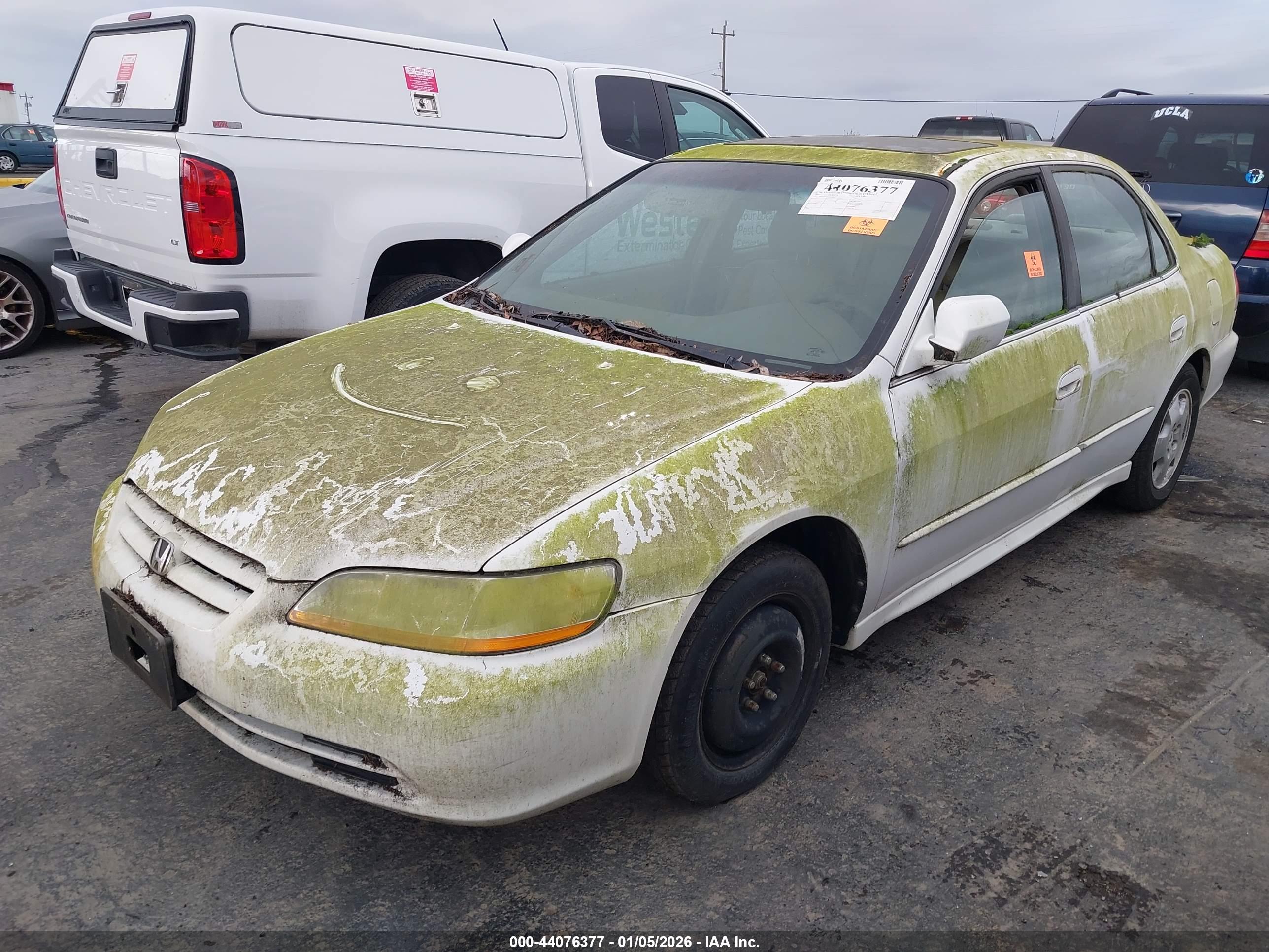 HONDA ACCORD image 2