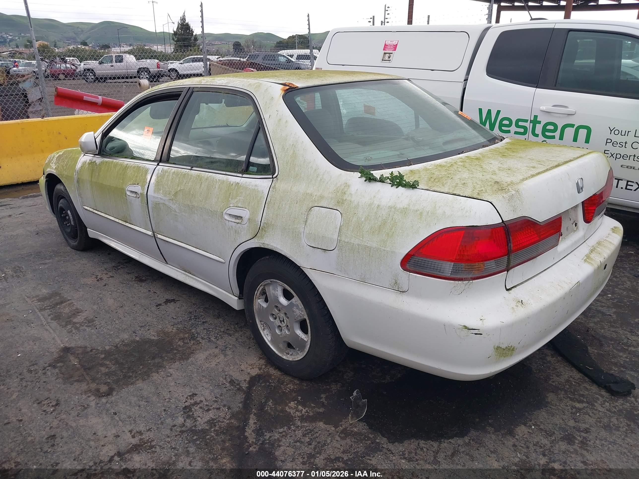 HONDA ACCORD image 3
